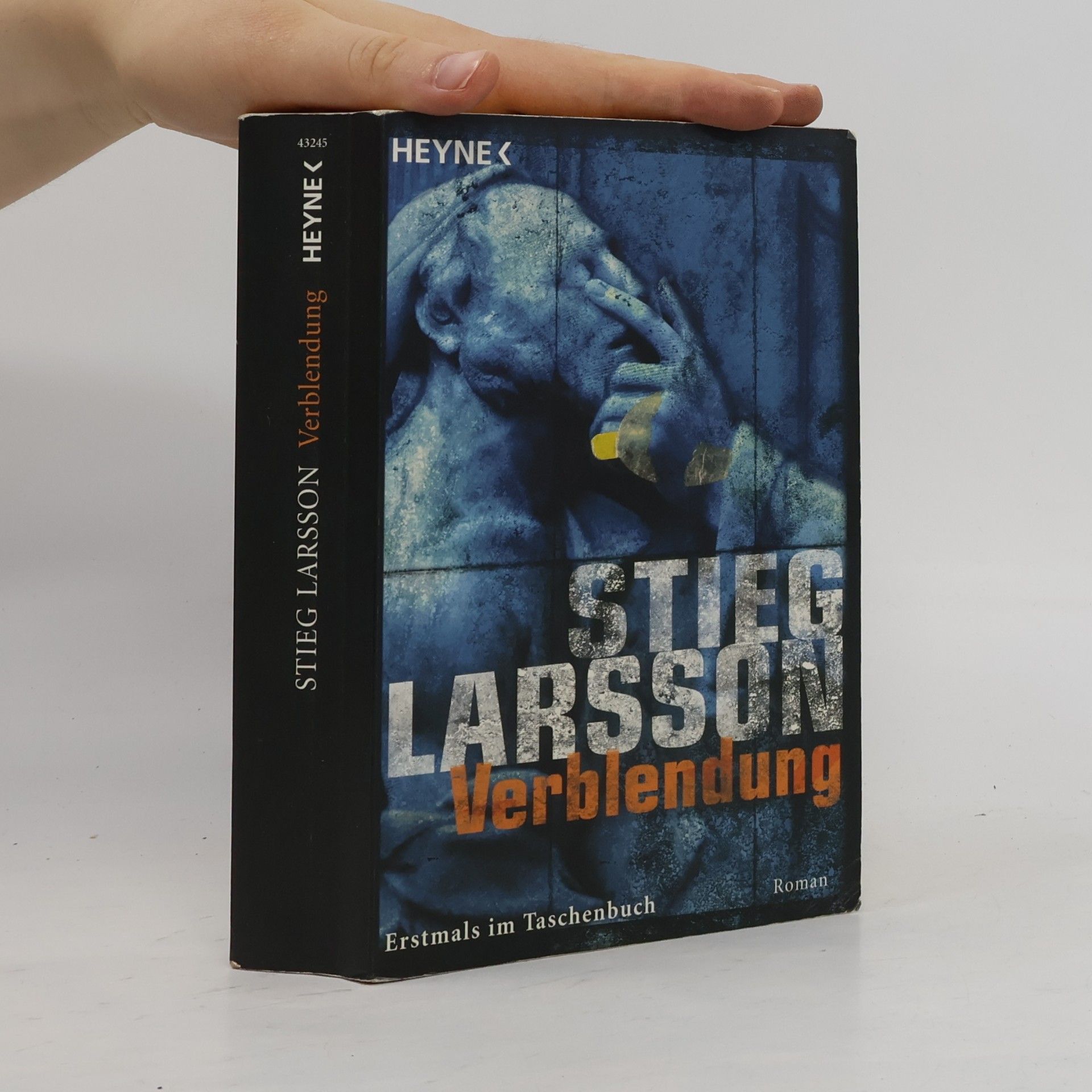 Stieg Larsson Verblendung