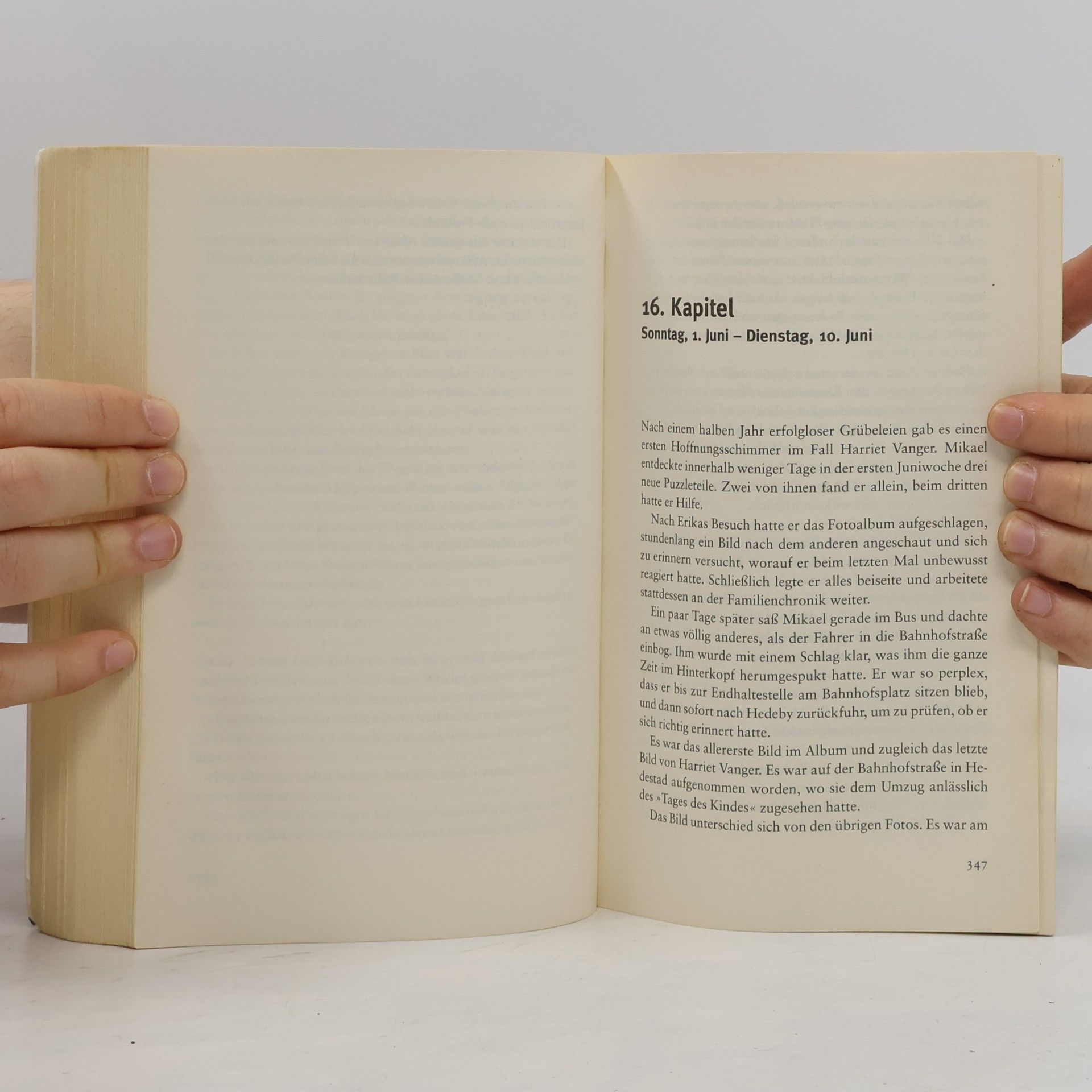 Stieg Larsson Verblendung