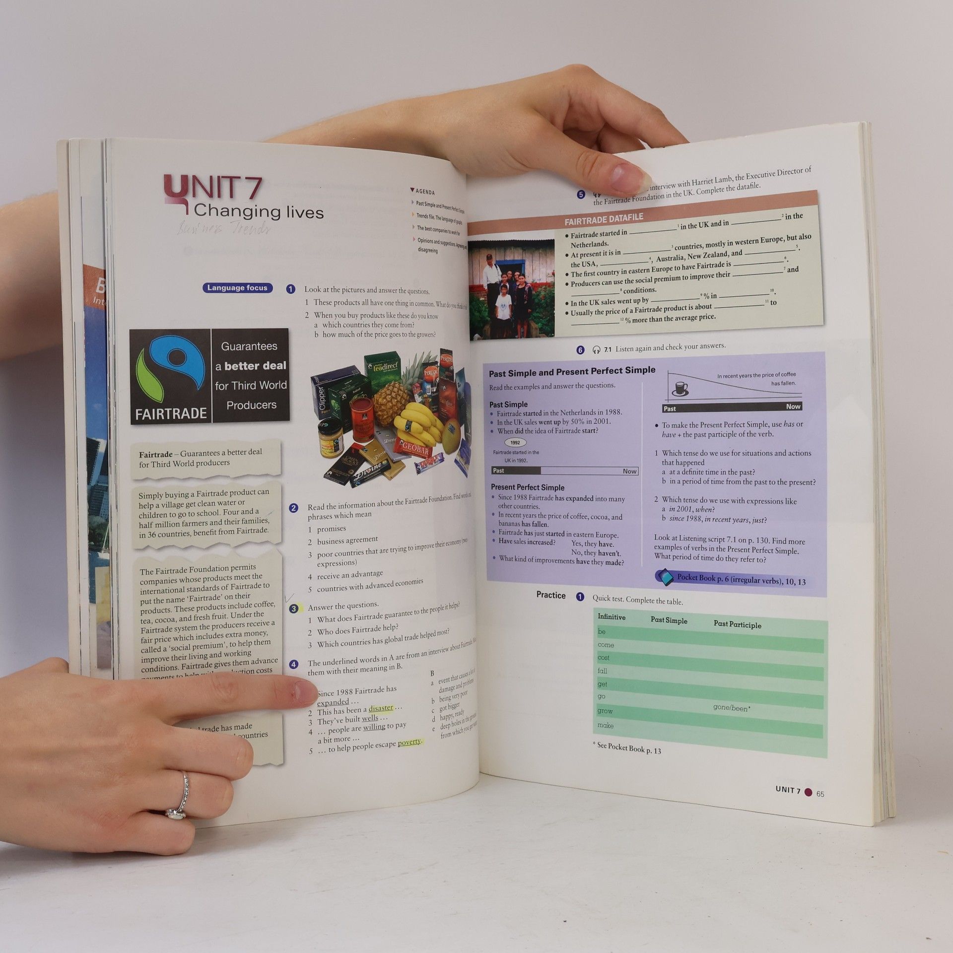 Liz Taylor New International Express Pre-Intermediate. Student's book
