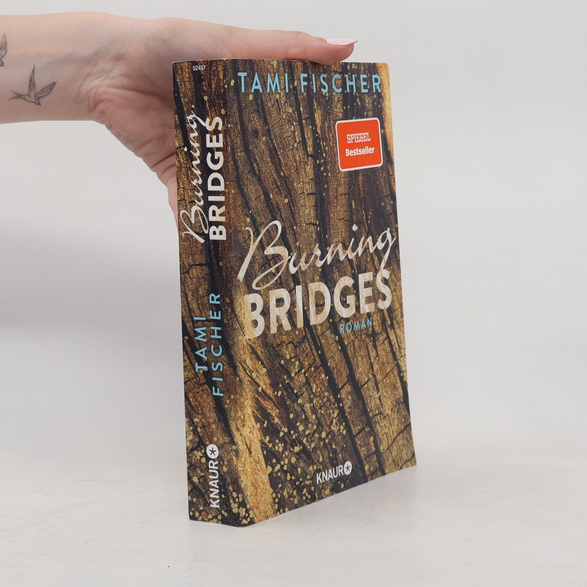 Tami Fischer Burning bridges
