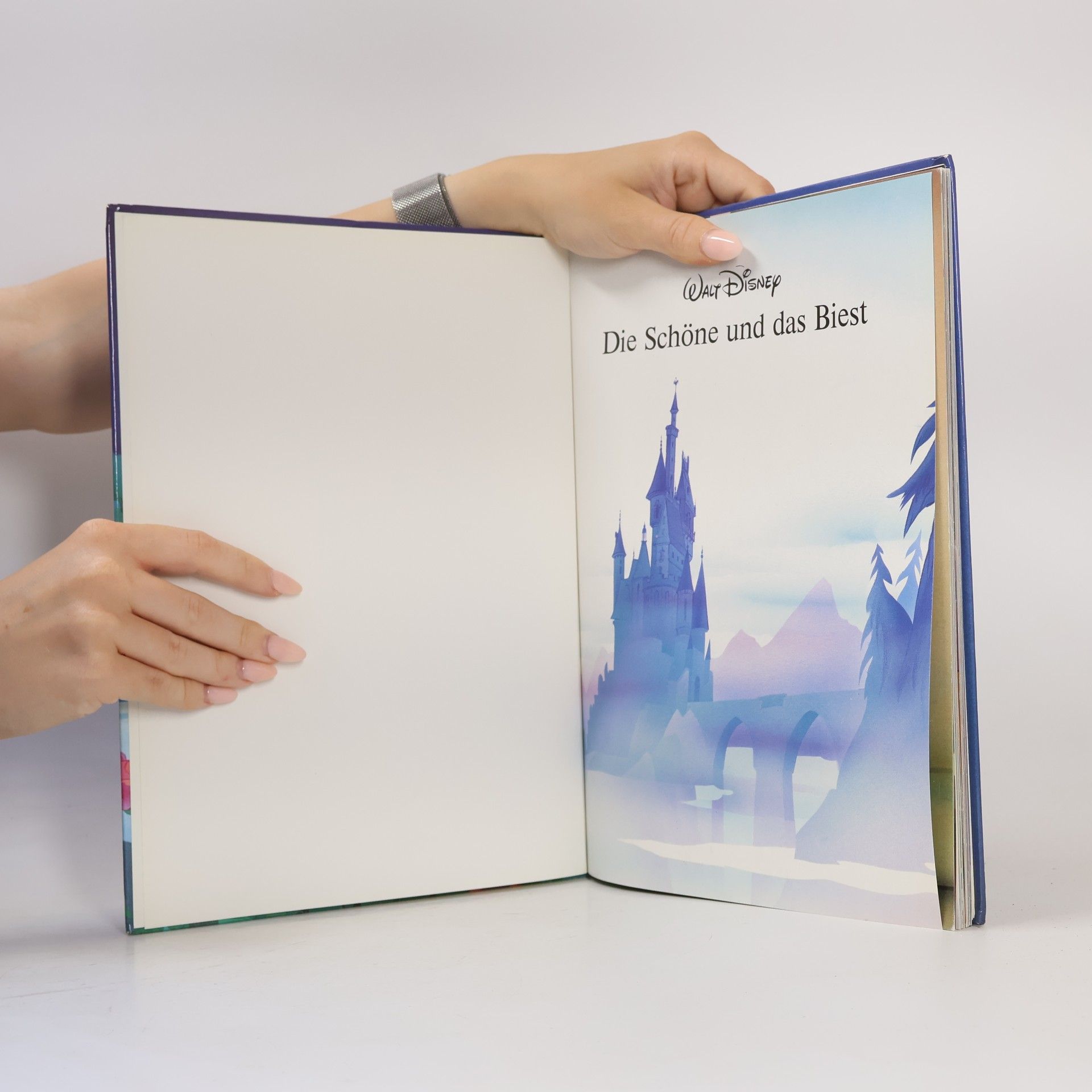 Walt Disney Die Schöne und das Biest