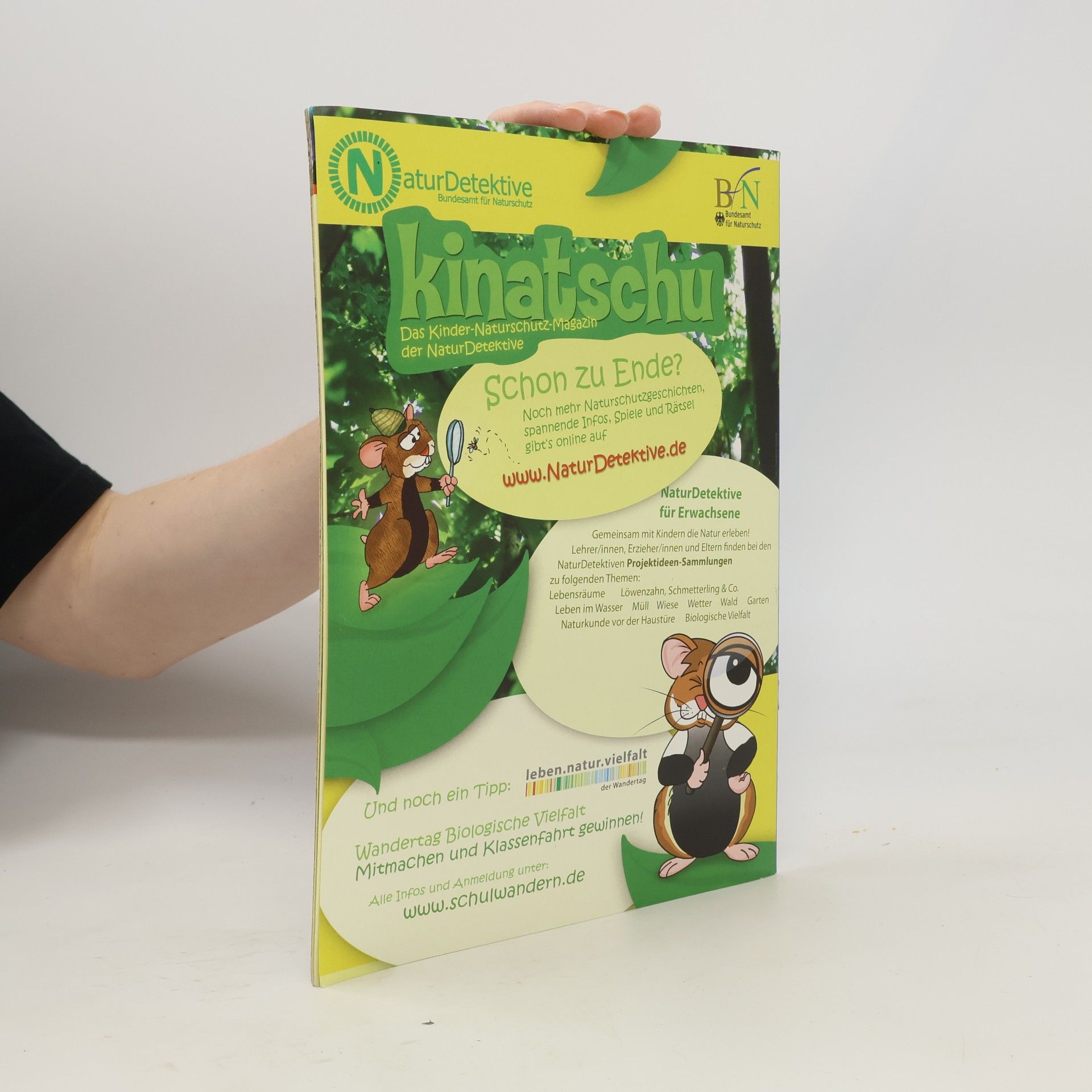kolektiv Kinatschu. Frühling 1