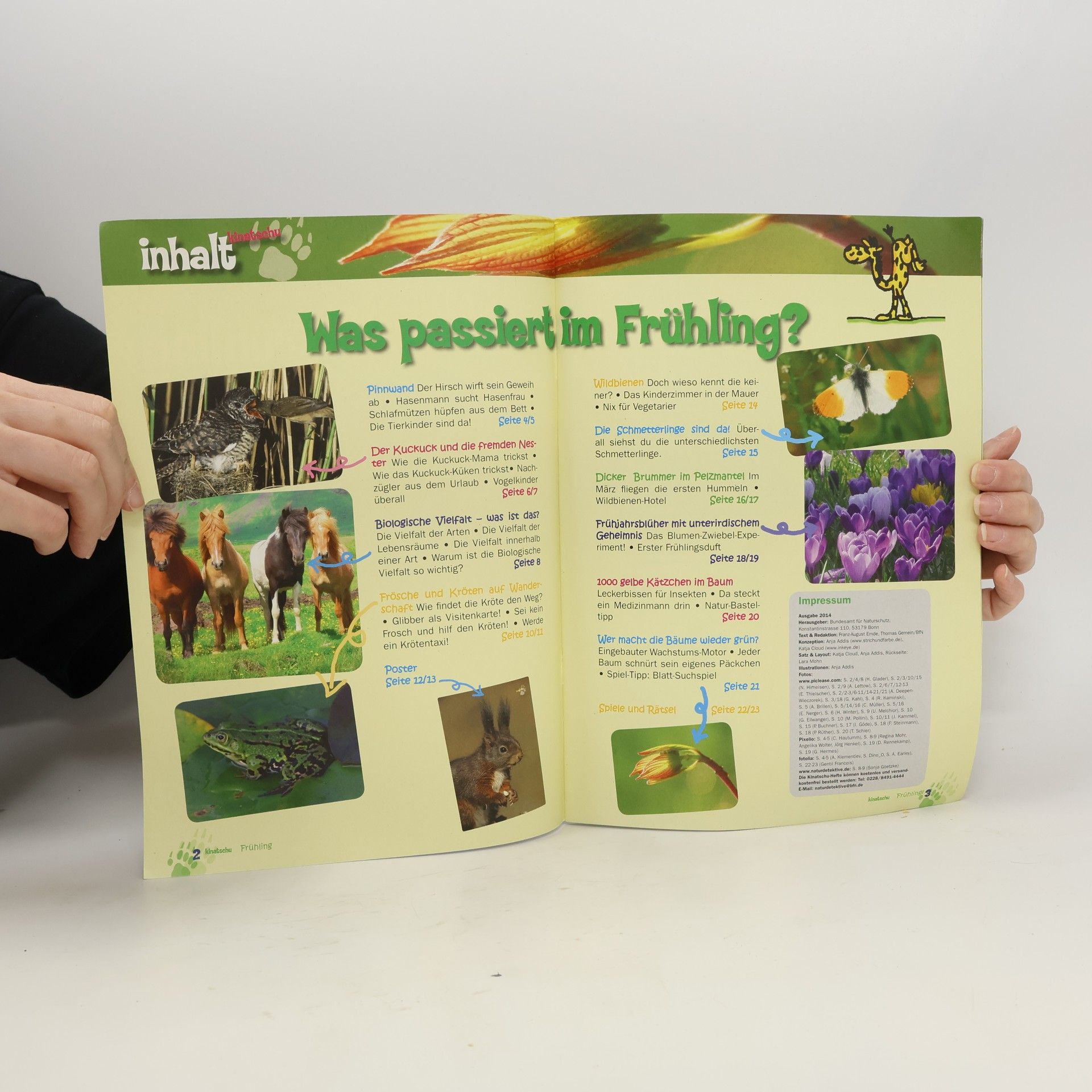 kolektiv Kinatschu. Frühling 1