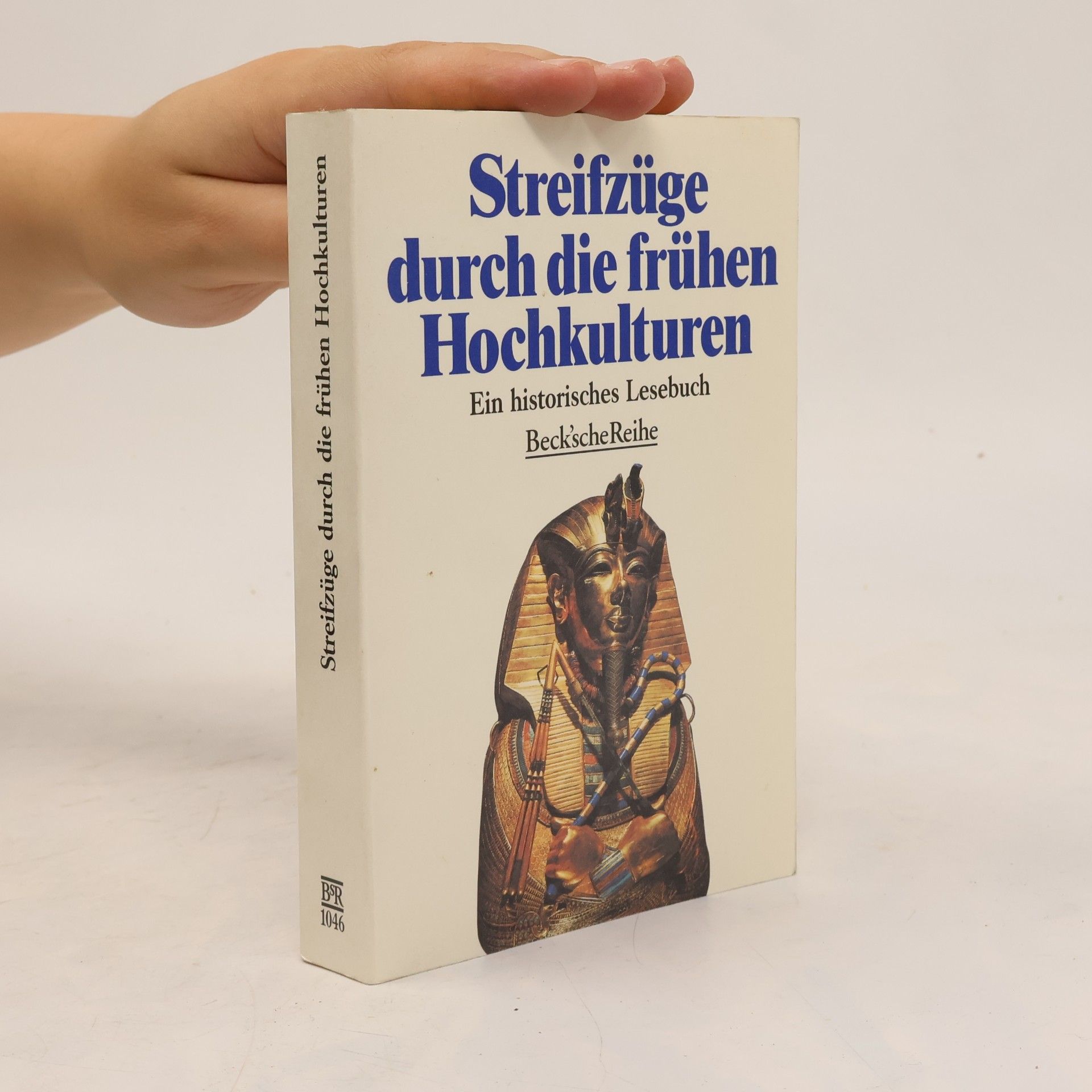 Heiko Steuer Streifzüge durch die frühen Hochkulturen
