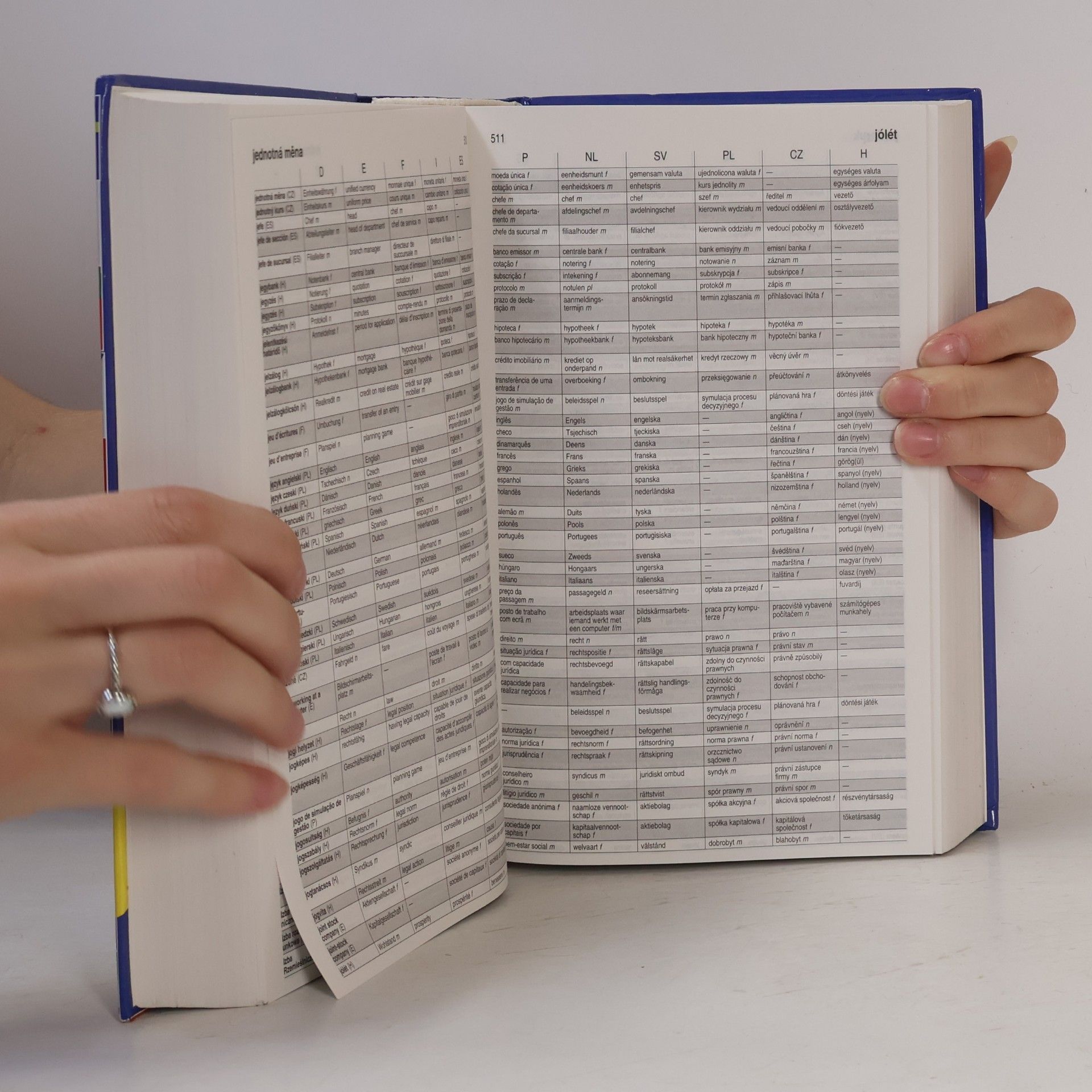 Autorenkollektiv Ekonomický slovník v jedenácti jazycích