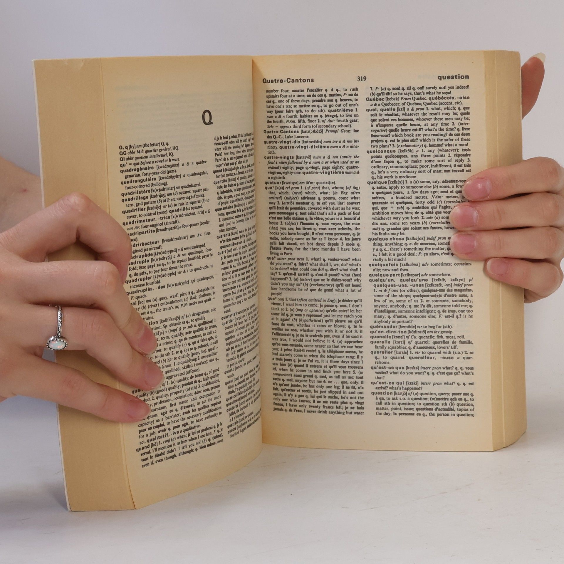 Patricia Forbes The Wordsworth French-English, English-French dictionary