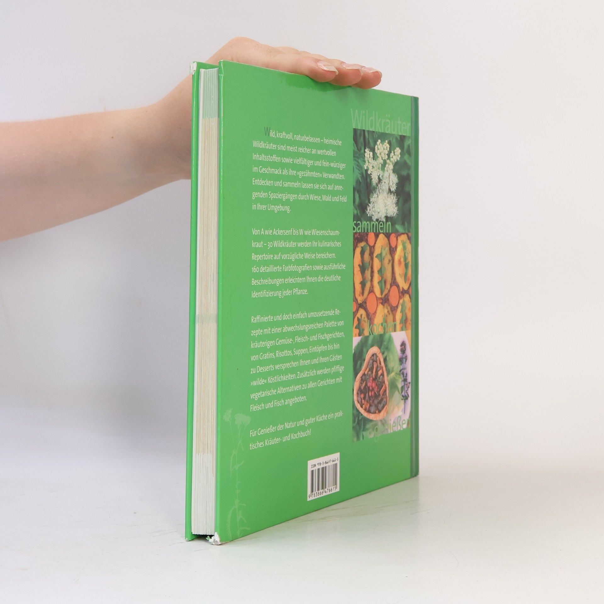 Monika Heutmann Wildkräuter sammeln, kochen, genießen