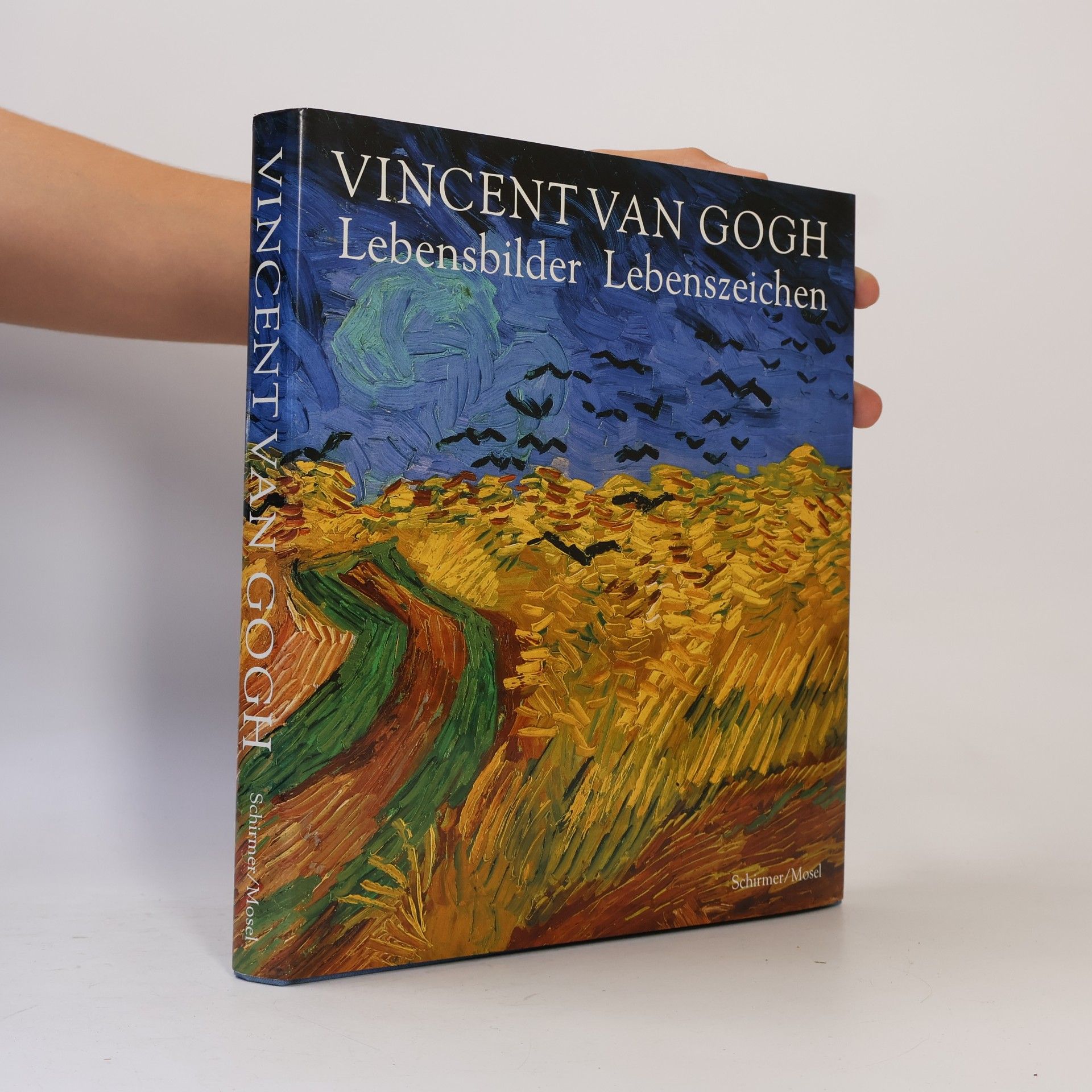 Vincent van Gogh Vincent van Gogh, Lebensbilder, Lebenszeichen