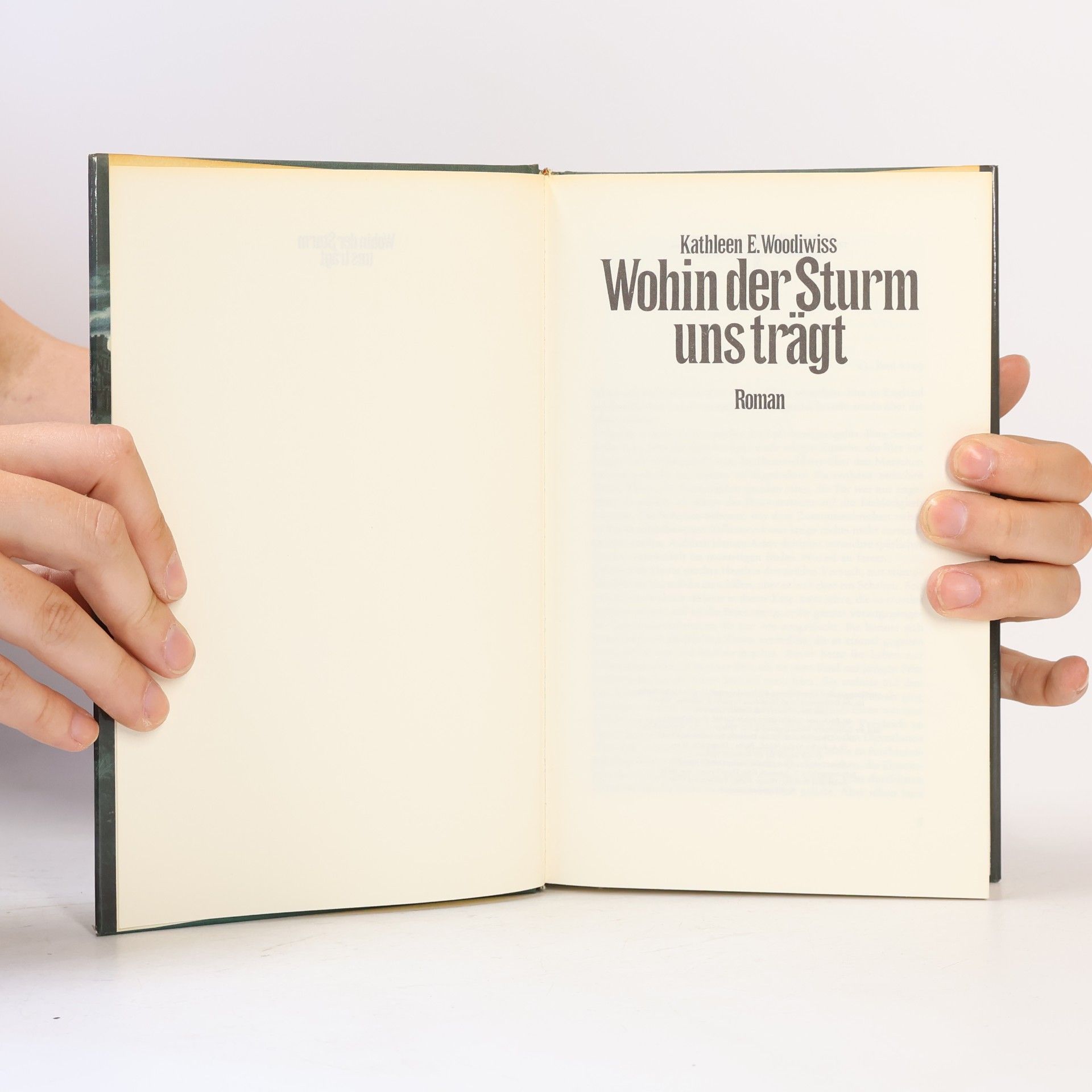 Kathleen E. Woodiwiss Wohin der Sturm uns Trägt
