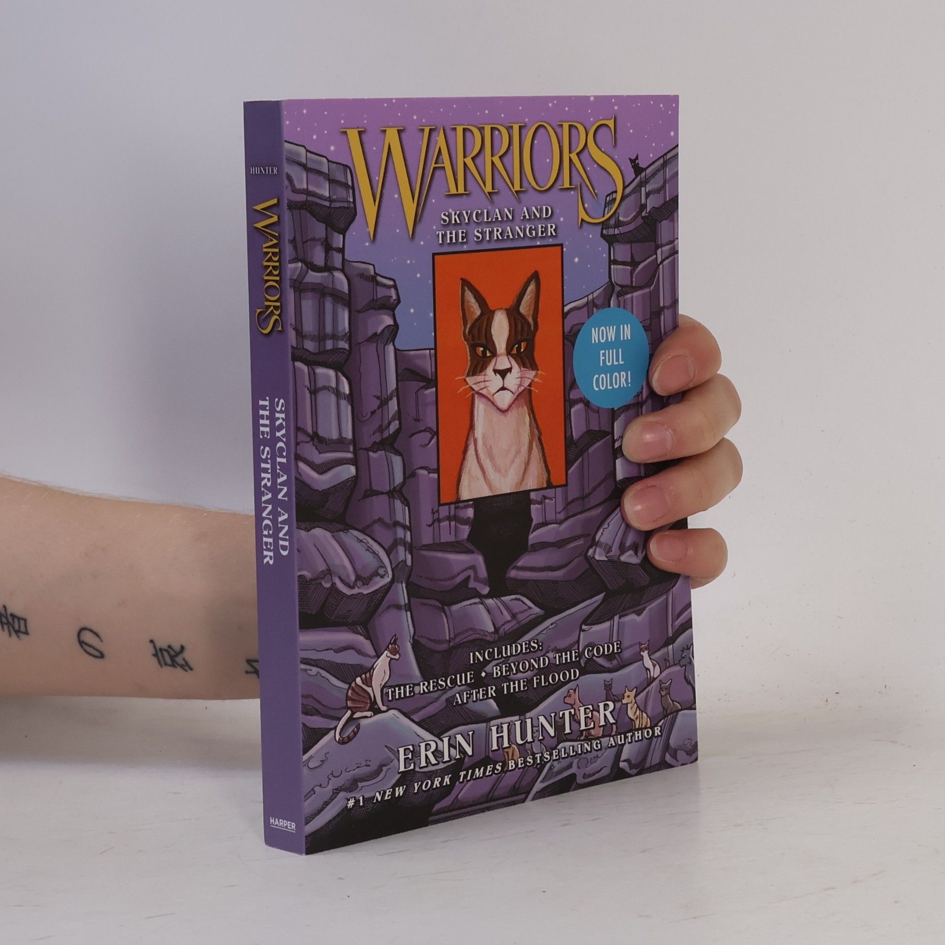 Erin Hunter Warriors: SkyClan and the Stranger