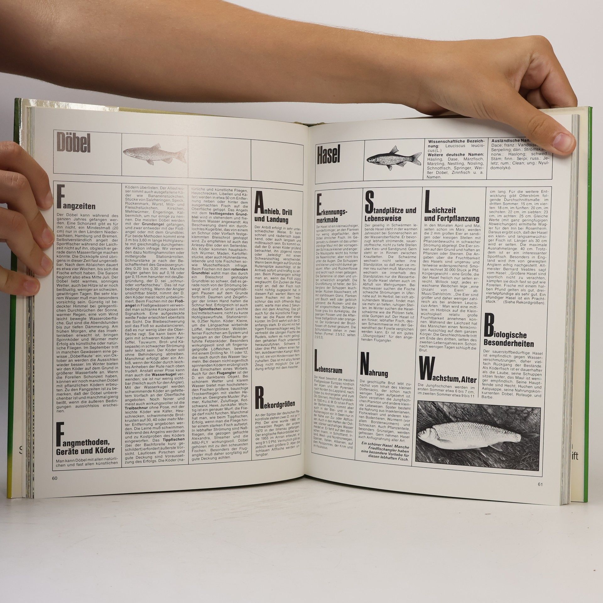 Autorenkollektiv Fisch Bilder Lexikon