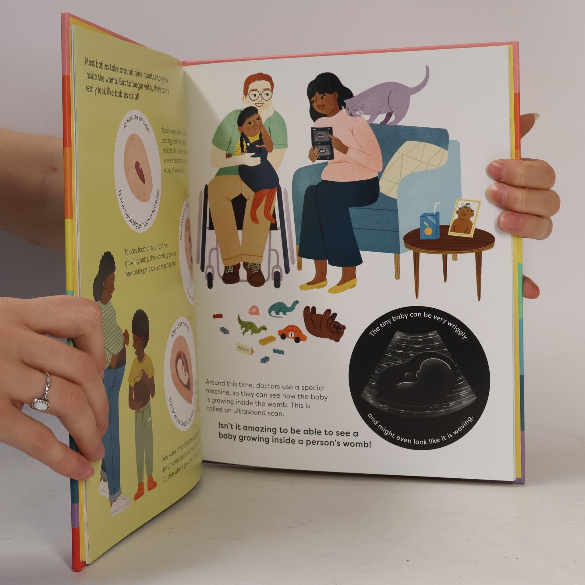 Rachel Greener Making A Baby: An Inclusive Guide to How Every Family Begins