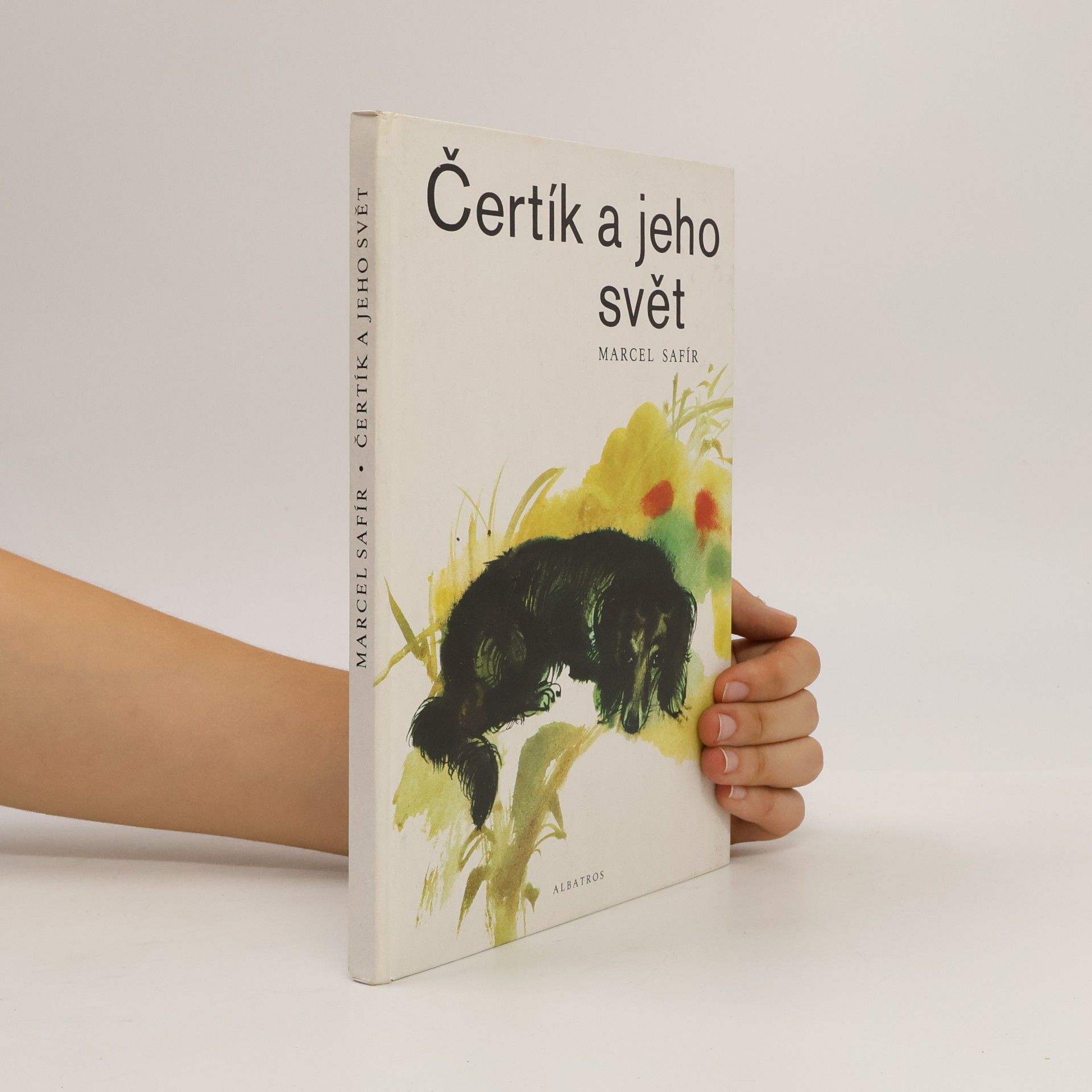 Čertík a jeho svět