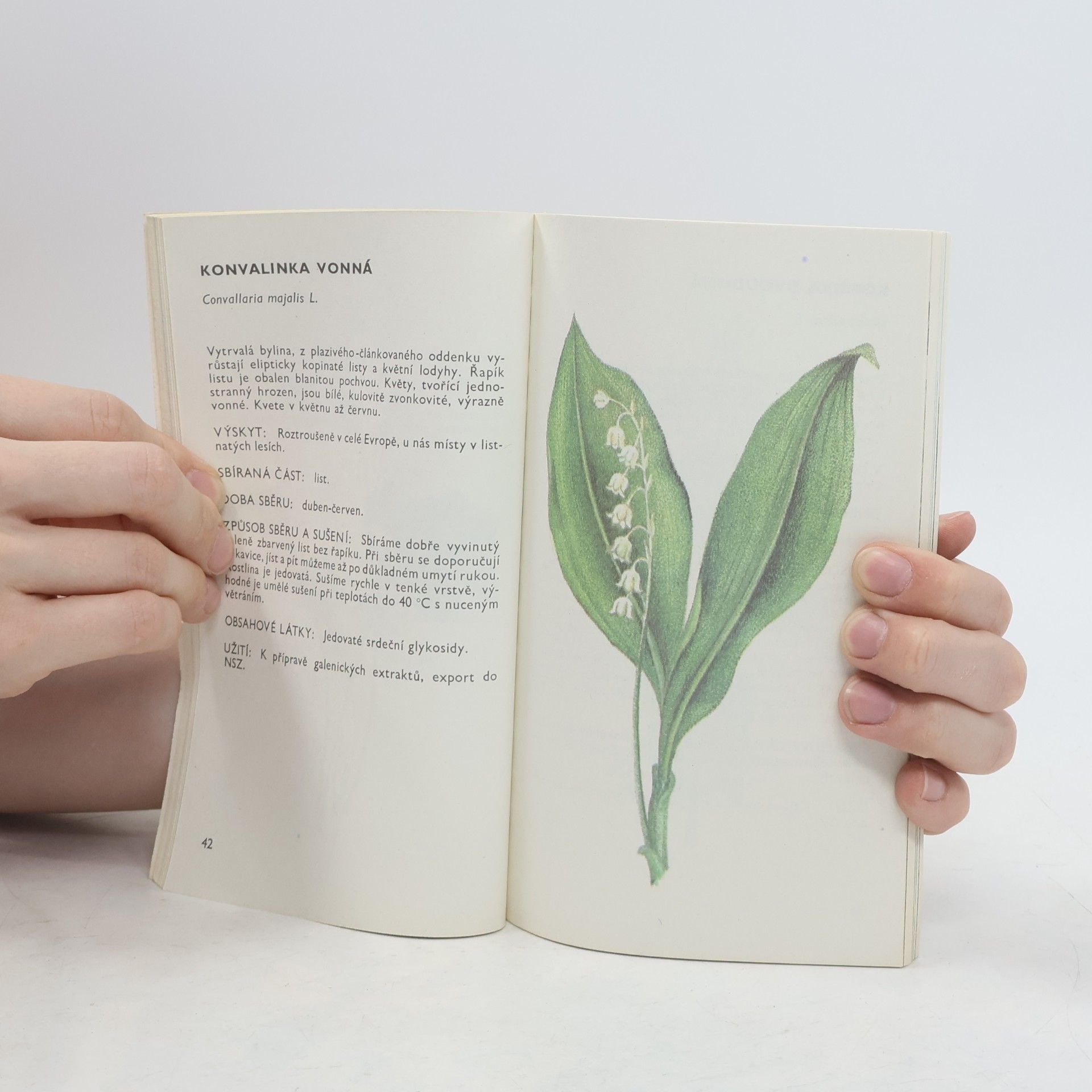 Ludmila Černá Malý herbář léčivých rostlin