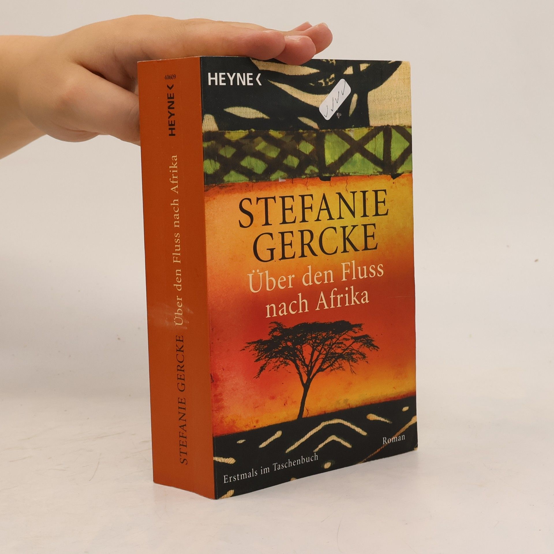 Stefanie Gercke Über den Fluss nach Afrika