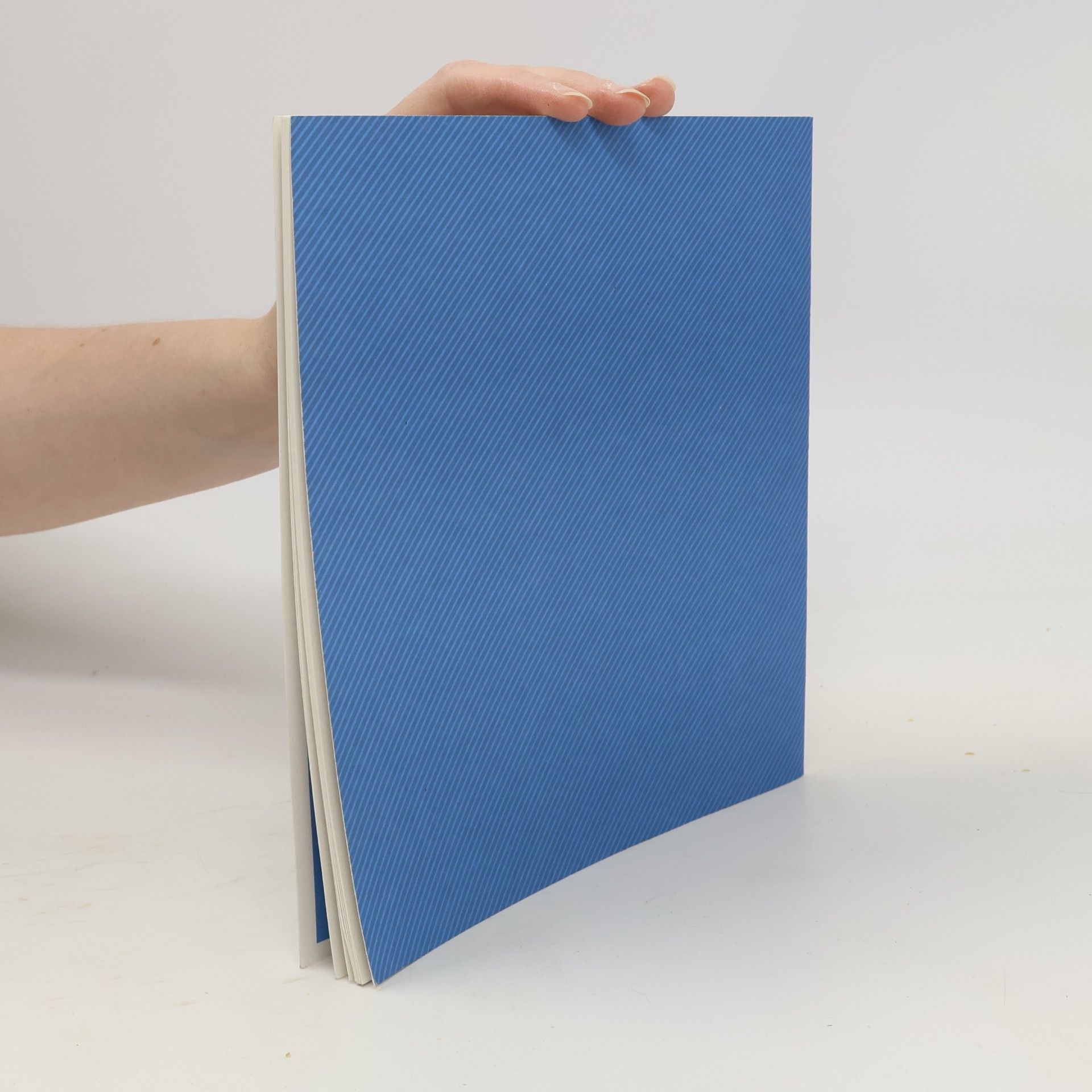 Autorenkollektiv Mal- und Ratebuch Antarktis