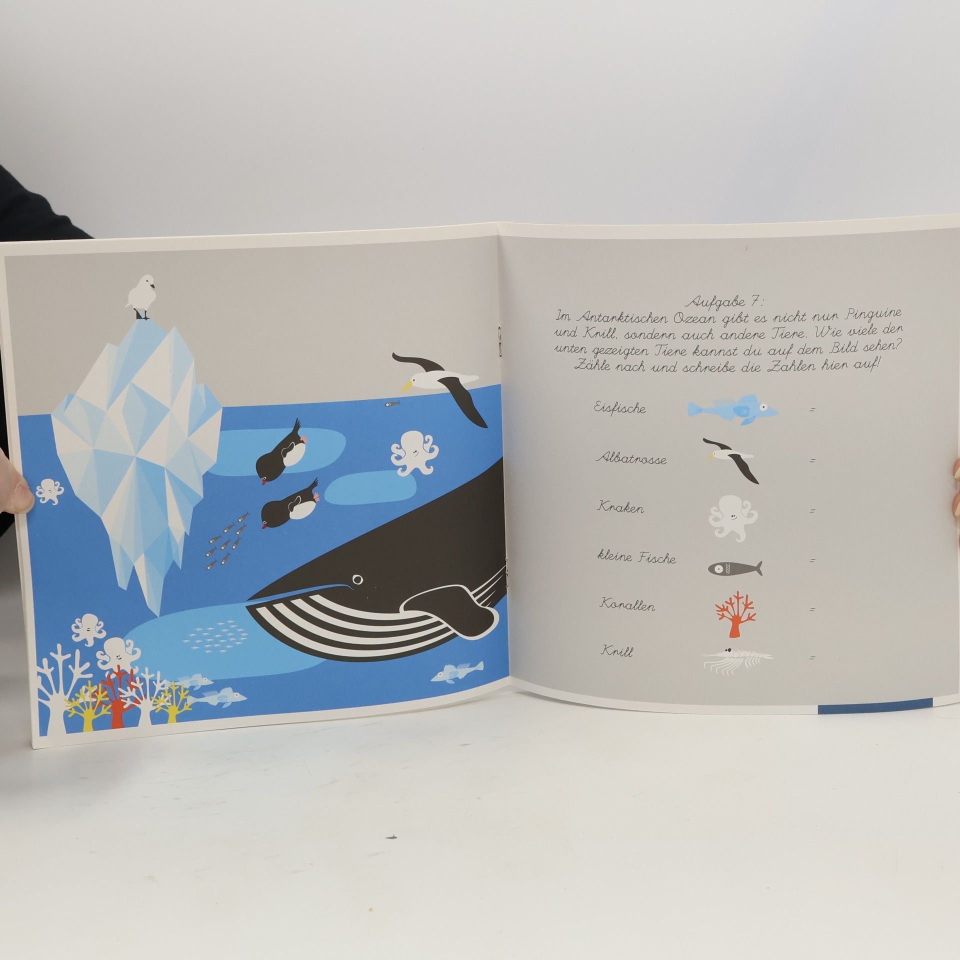 Autorenkollektiv Mal- und Ratebuch Antarktis