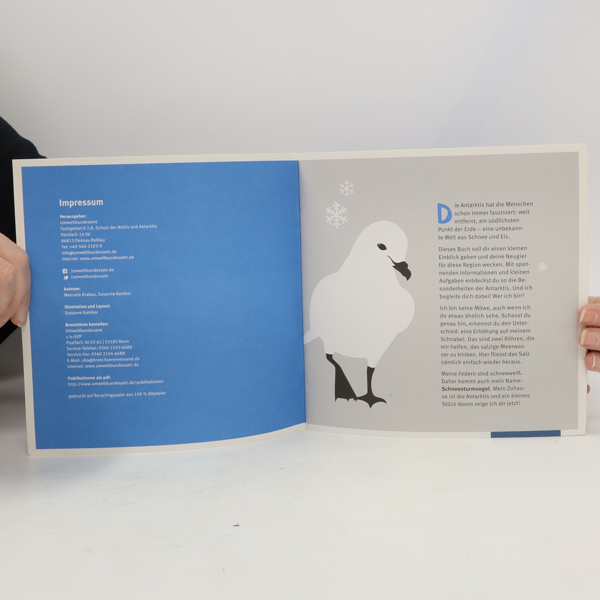 Autorenkollektiv Mal- und Ratebuch Antarktis