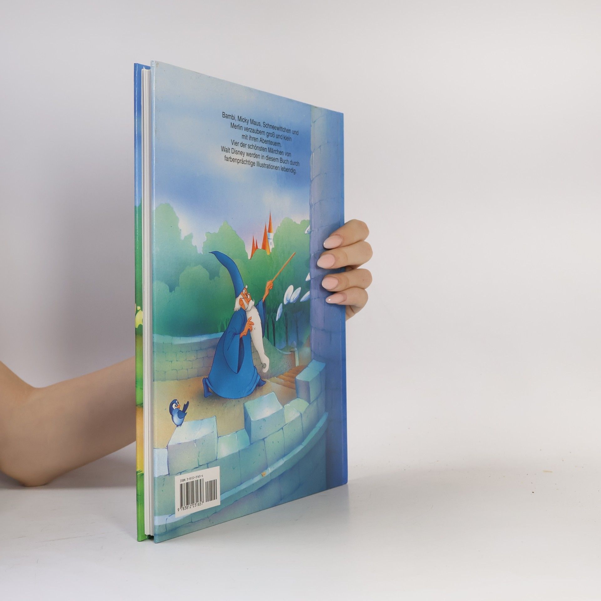 Autorenkollektiv Zauberhafte Märchen
