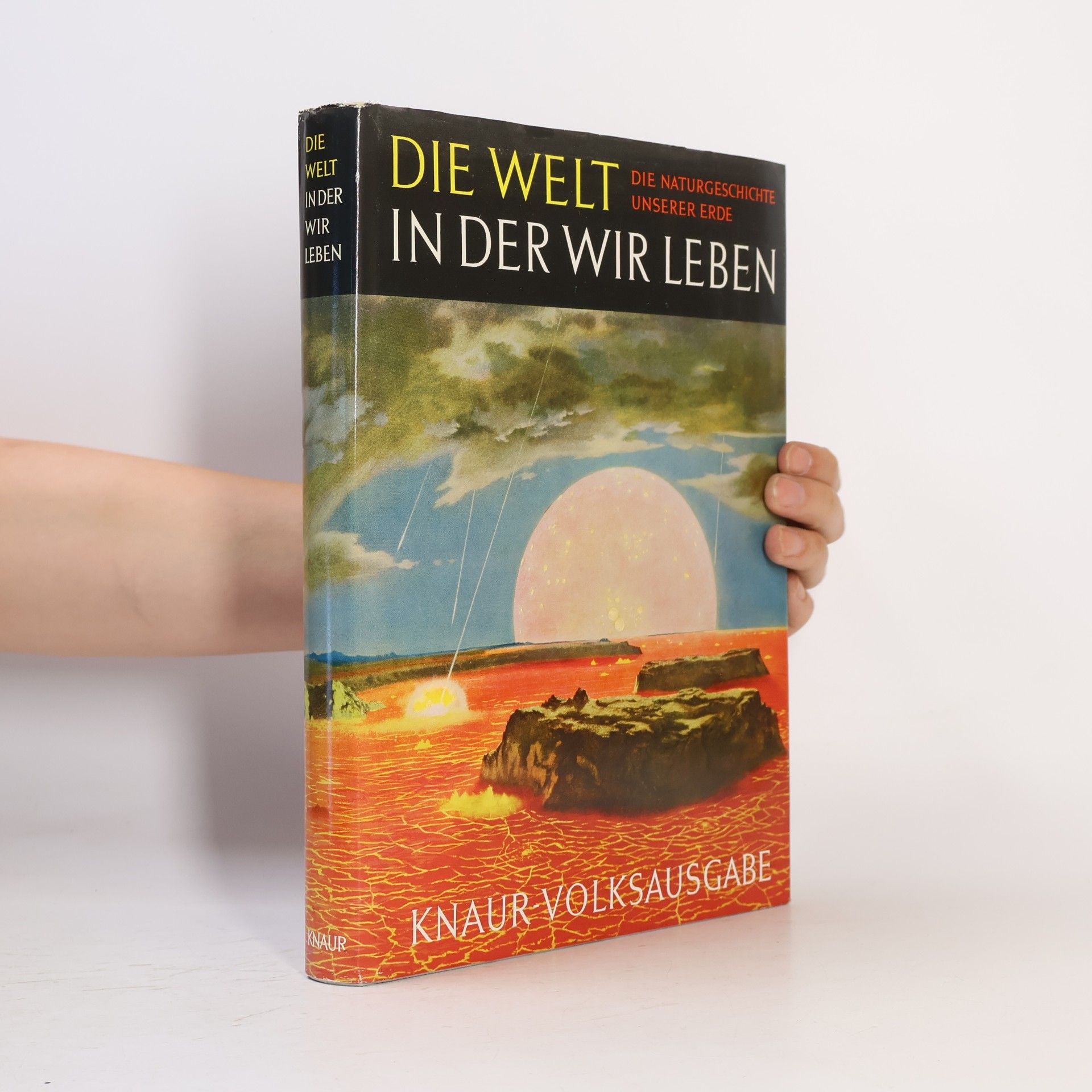 Auteurscollectief Die Welt In Der Wir Leben