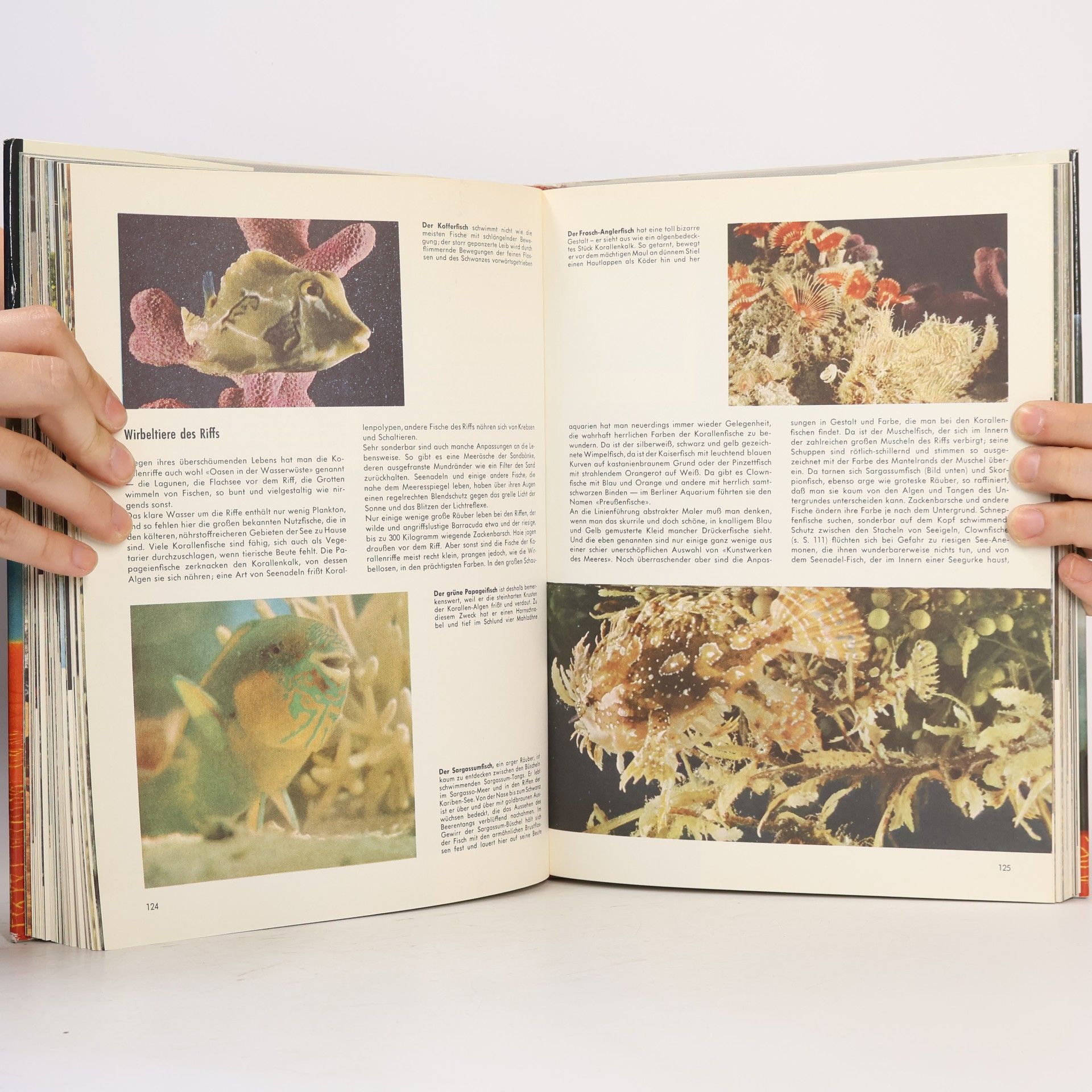 Various authors Die Welt In Der Wir Leben