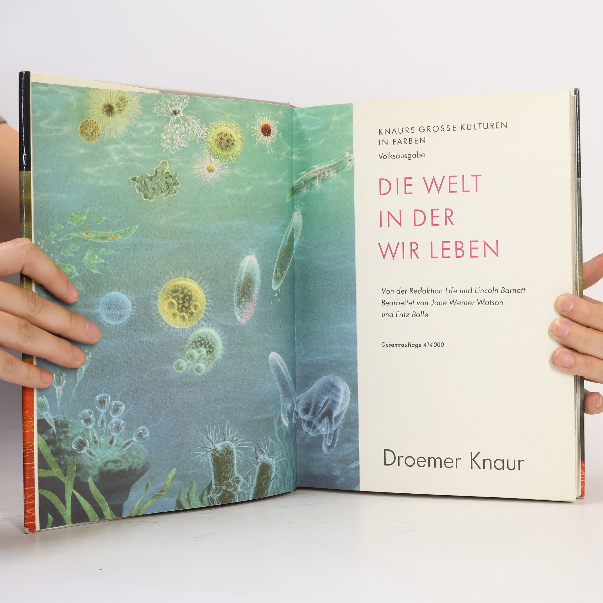 Various authors Die Welt In Der Wir Leben