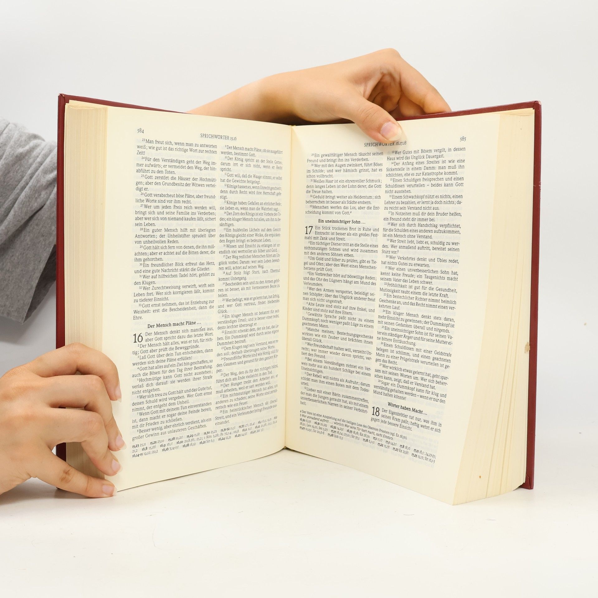 Autorenkollektiv Die Gute Nachricht. Die Bibel in heutigem Deutsch