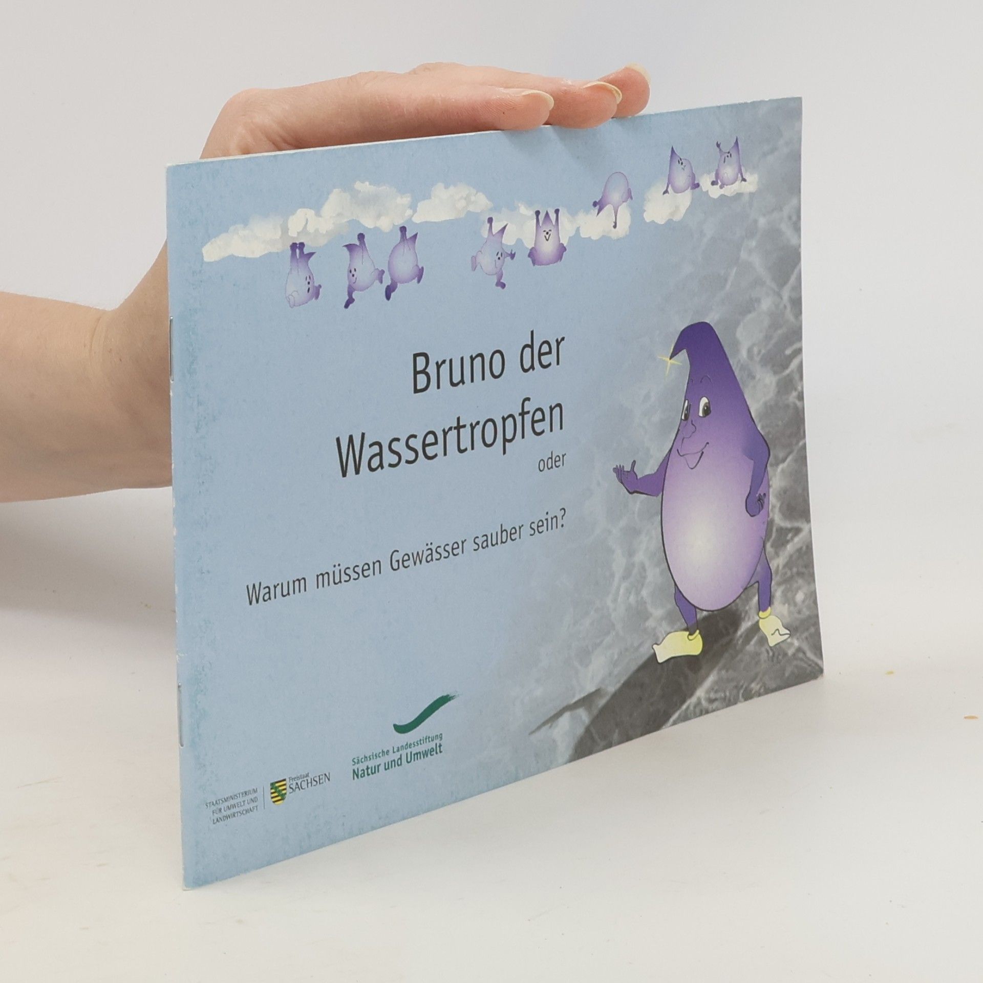 Autorenkollektiv Bruno der Wassertropfen oder Warum müssen Gewässer sauber sein?