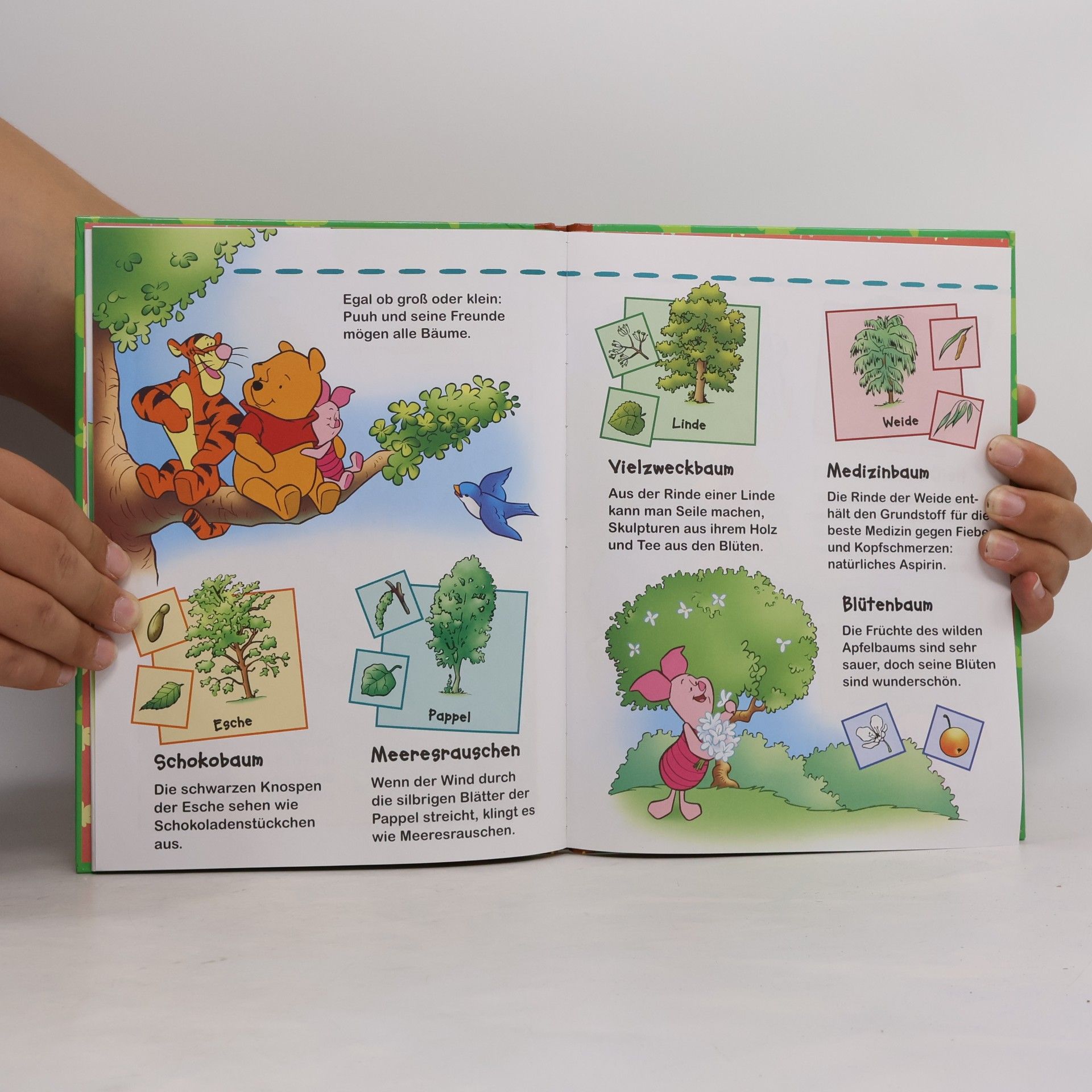 Autorenkollektiv Winnie Puuh. Entdecke Bäume