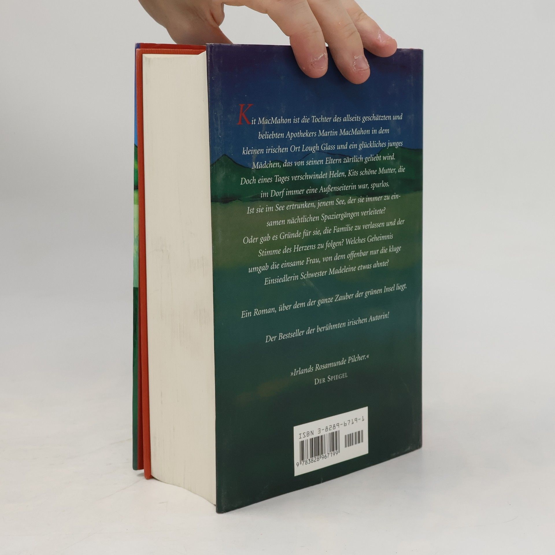 Maeve Binchy Der grüne See