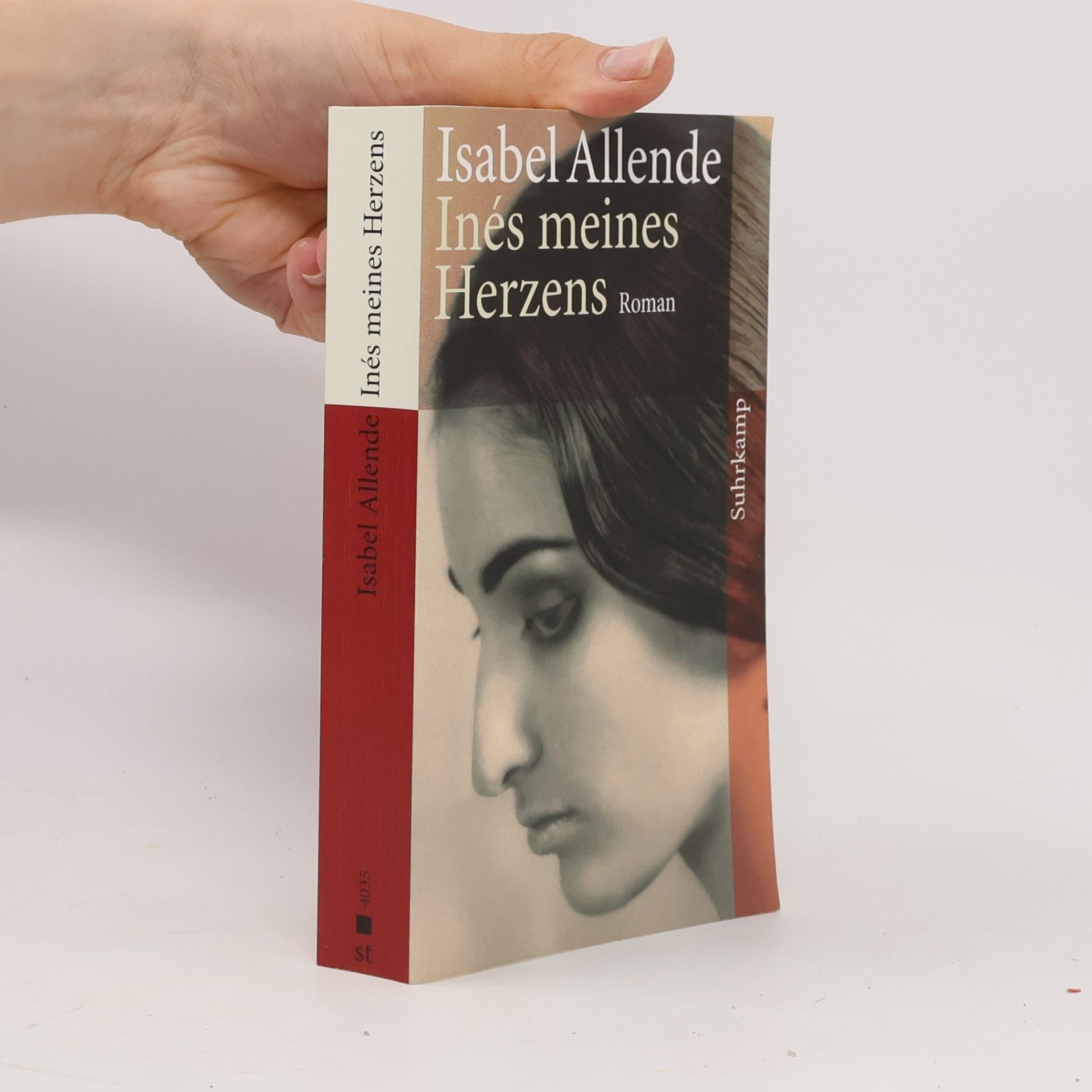 Isabel Allende Inés meines Herzens