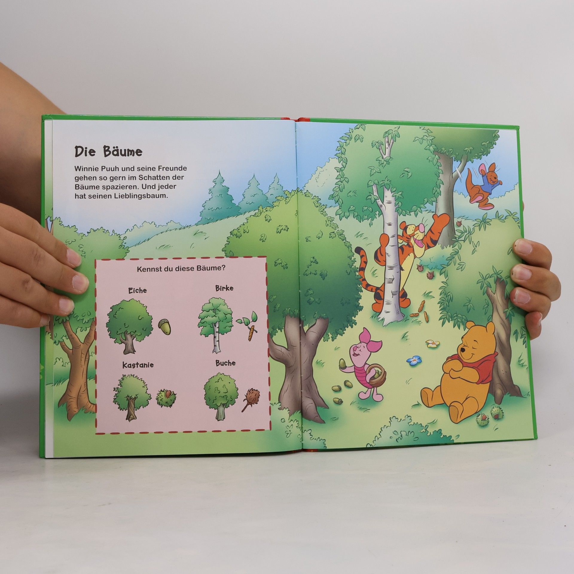 Autorenkollektiv Winnie Puuh. Entdecke den Wald
