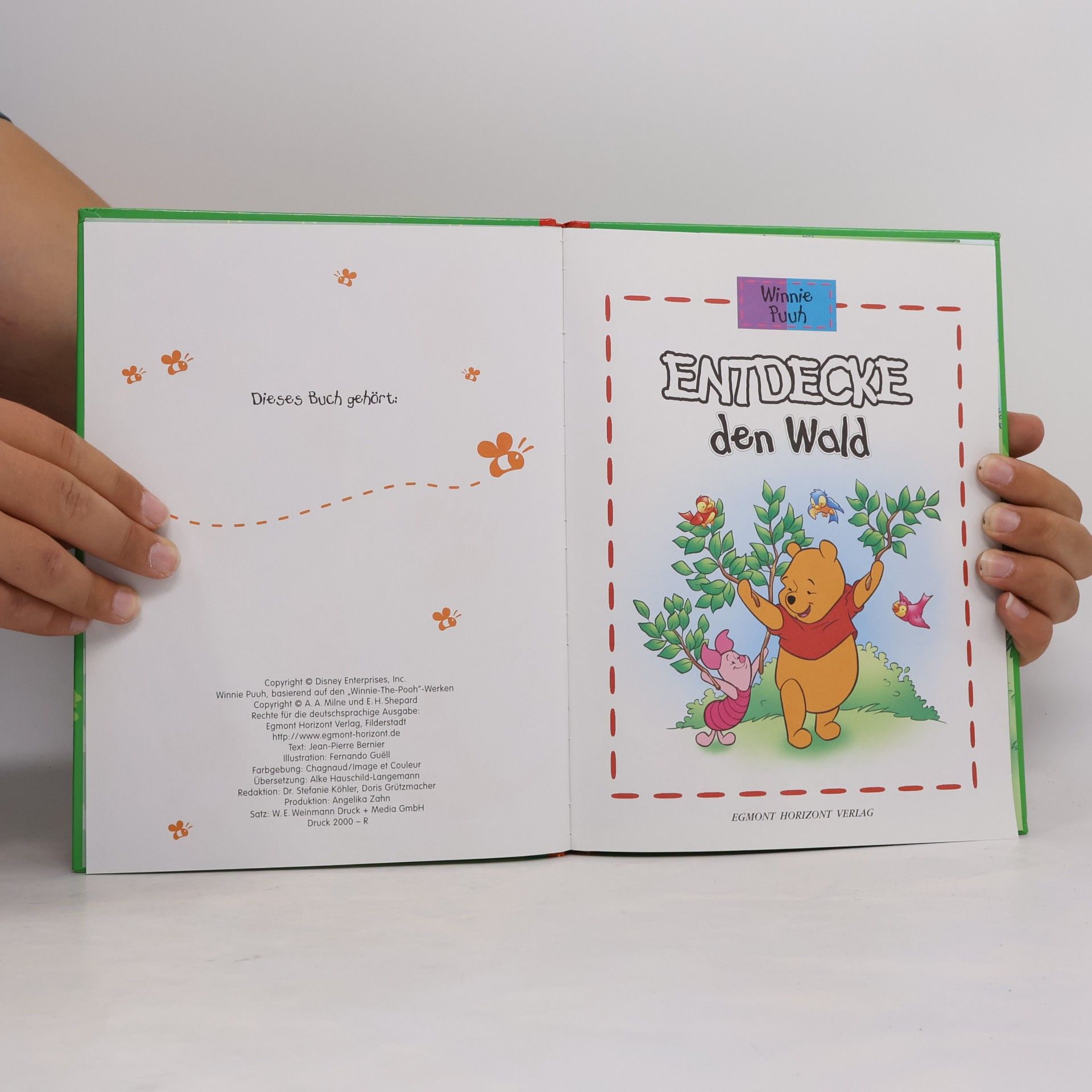 Autorenkollektiv Winnie Puuh. Entdecke den Wald