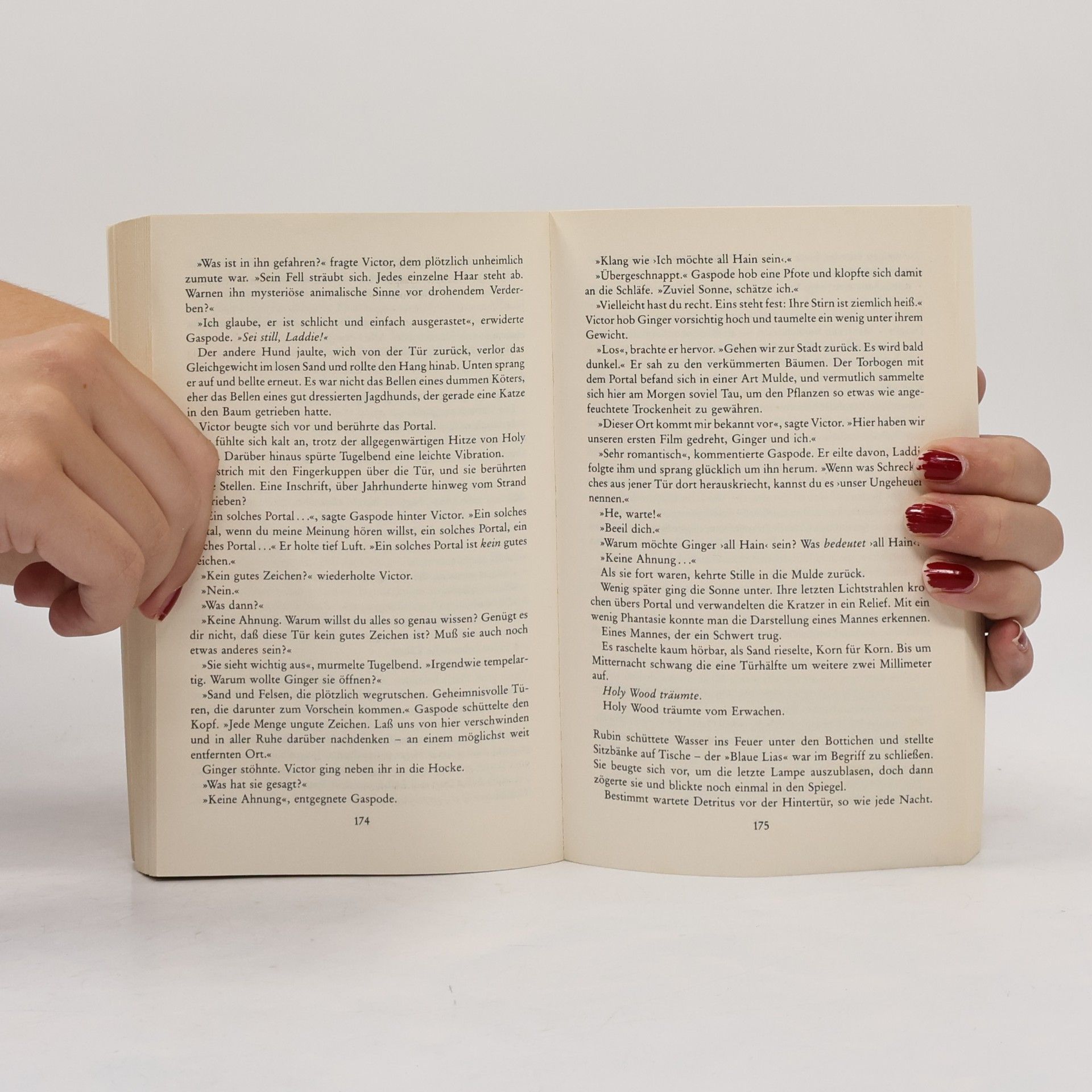 Terry Pratchett Voll im Bilde