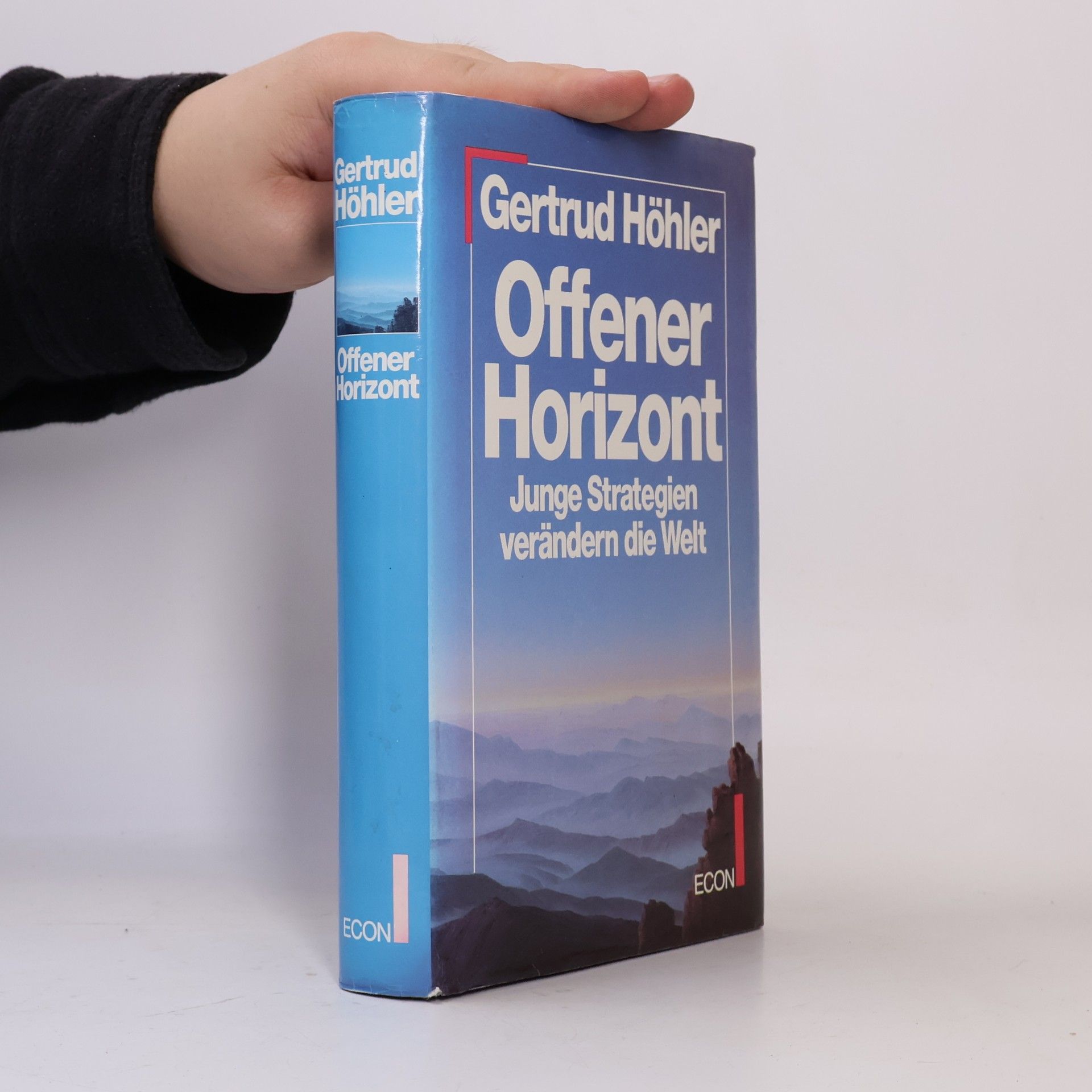 Gertrud Höhler Offener Horizont