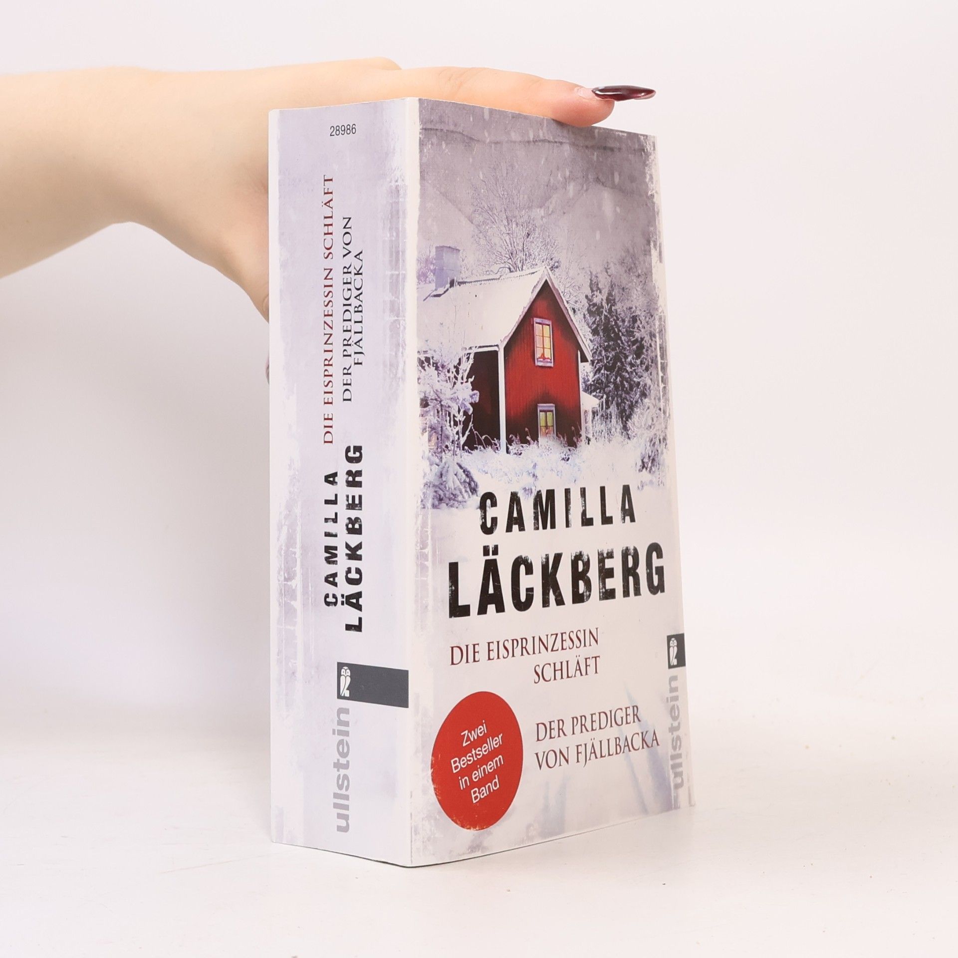 Camilla Läckberg Die Eisprinzessin schläft