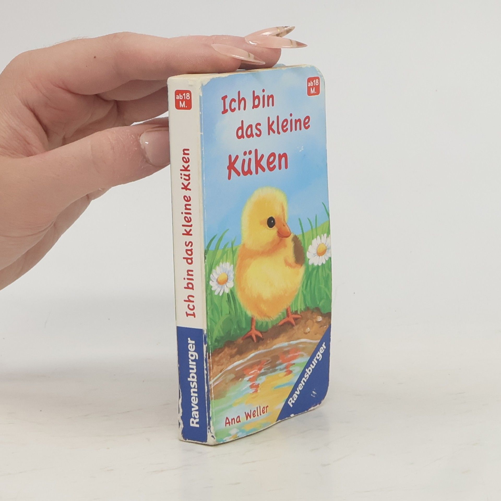Hannelore Dierks Ich bin das kleine Küken
