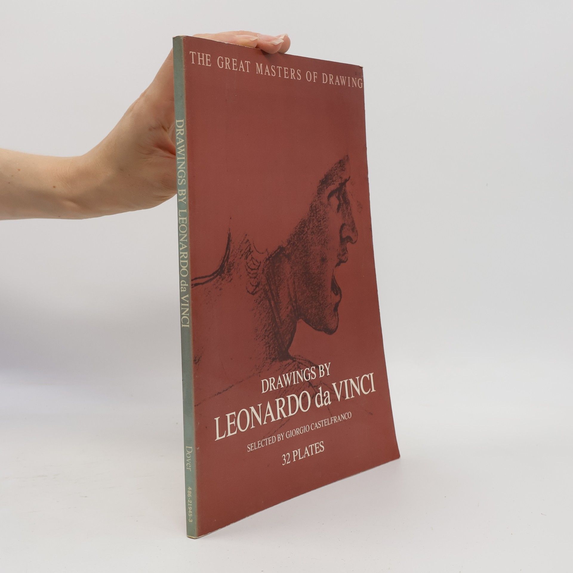Leonardo da Vinci Drawings