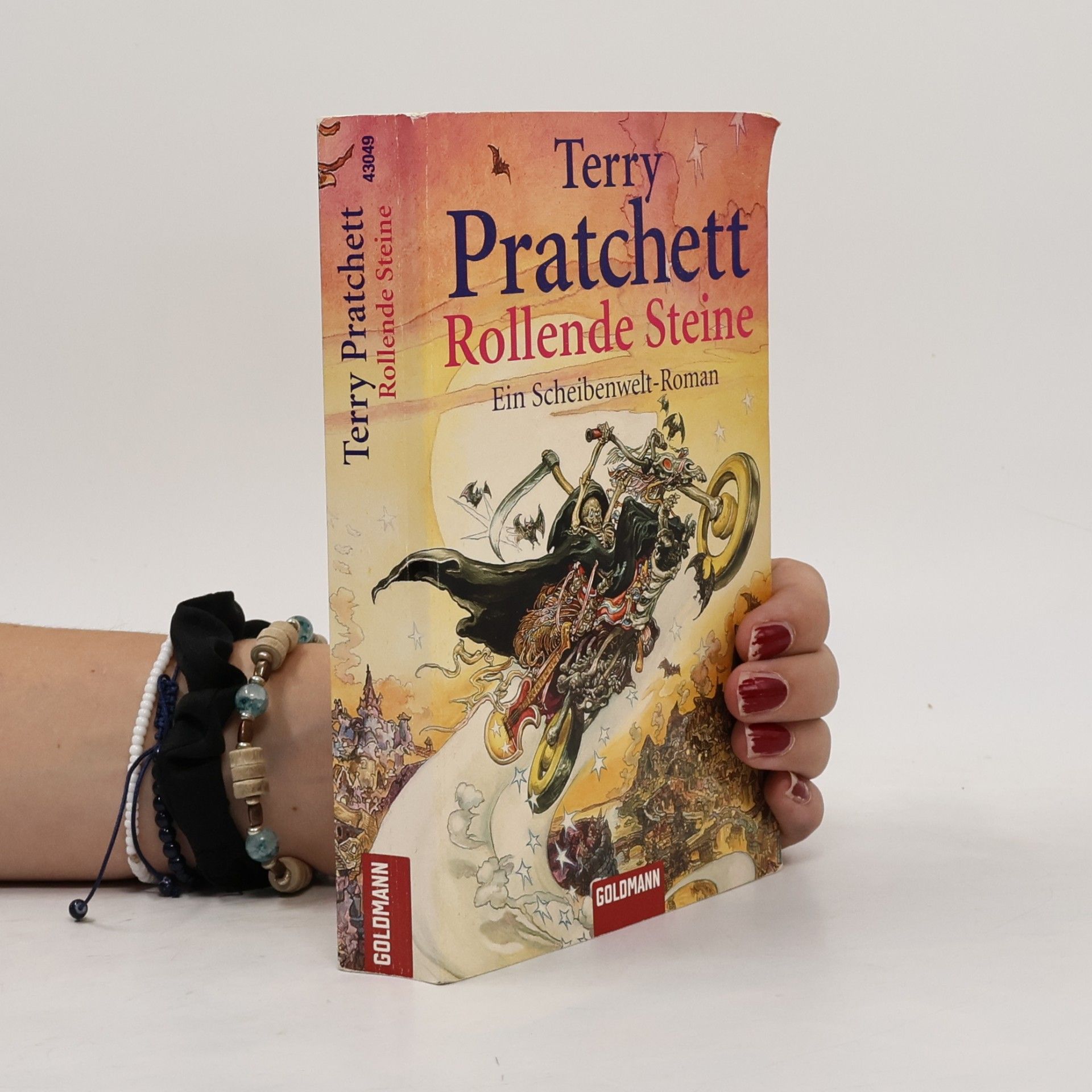 Terry Pratchett Rollende Steine