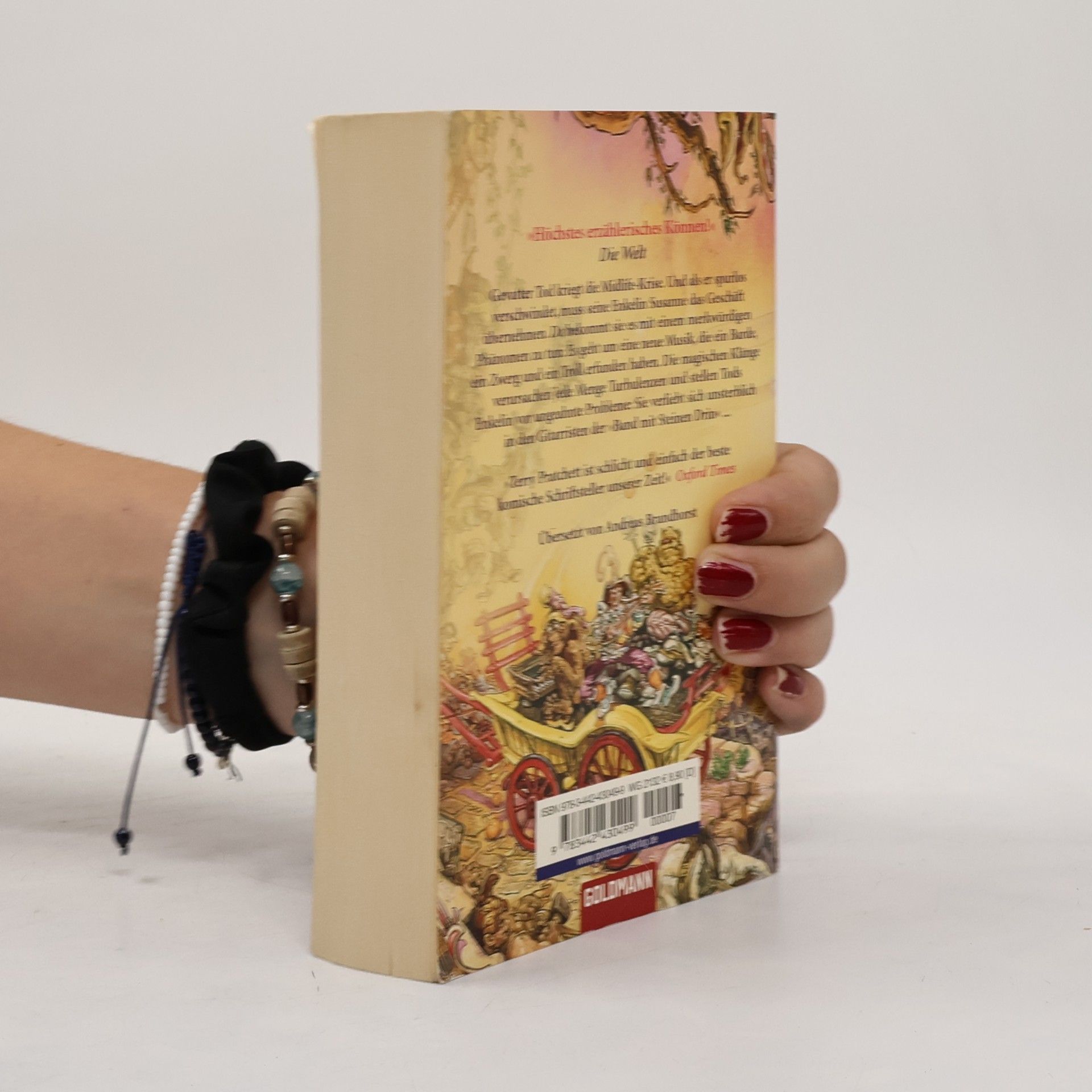 Terry Pratchett Rollende Steine