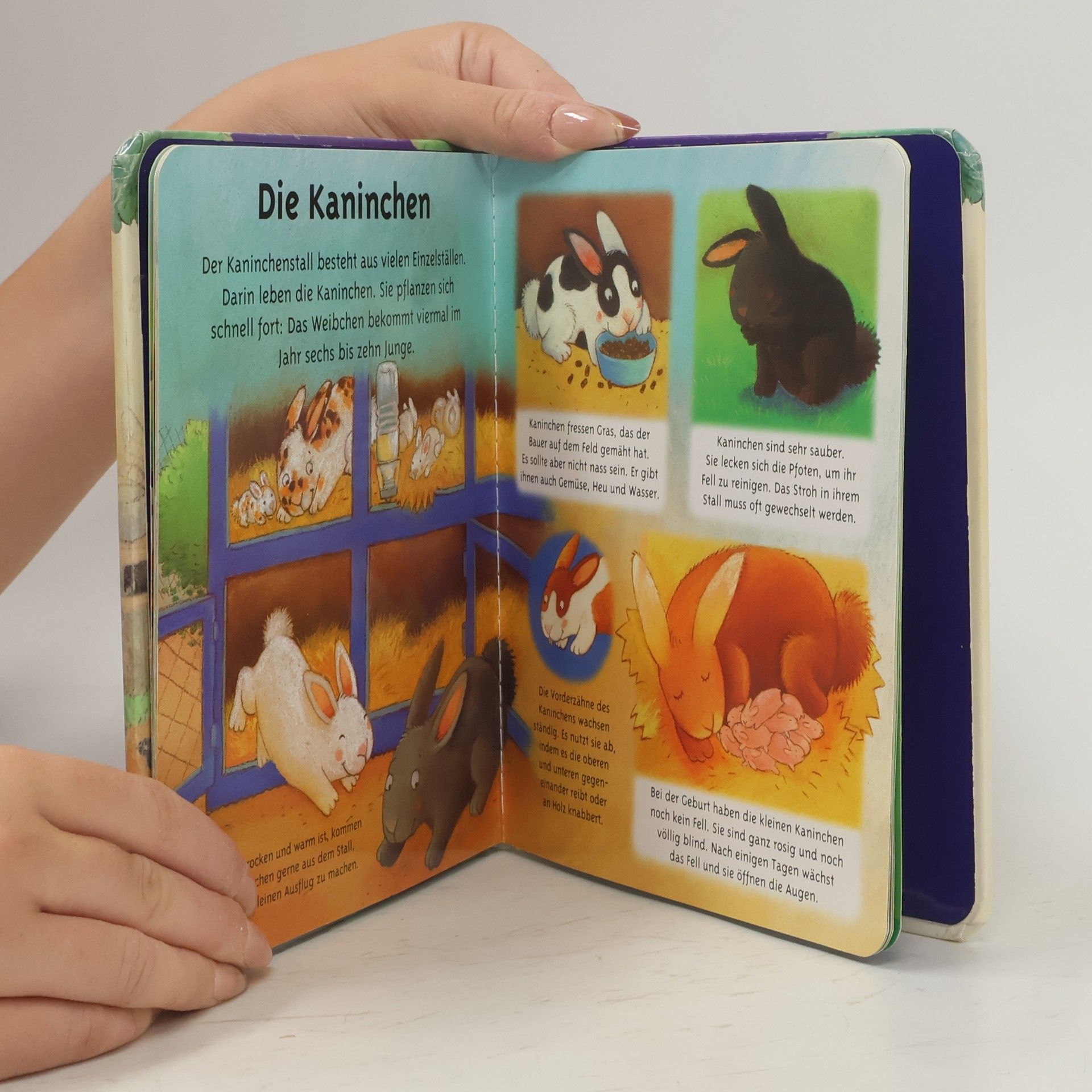Autorenkollektiv Tiere auf dem Bauernhof