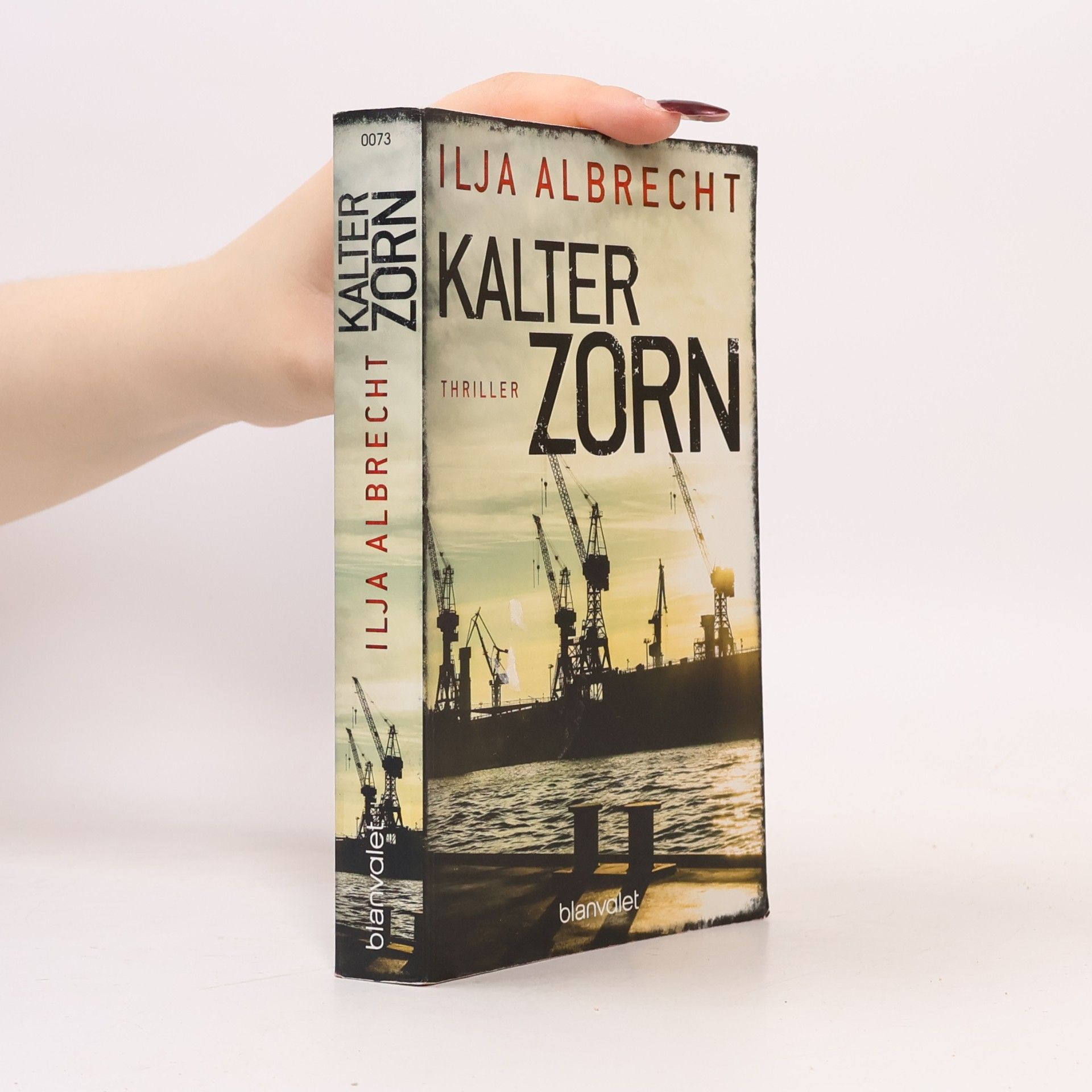 Ilja Albrecht Kalter Zorn