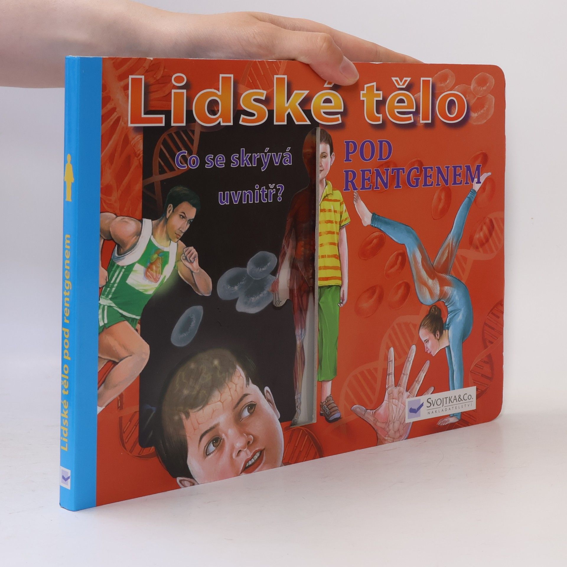 Collectif d'auteurs Lidské tělo pod rentgenem : co se skrývá uvnitř?
