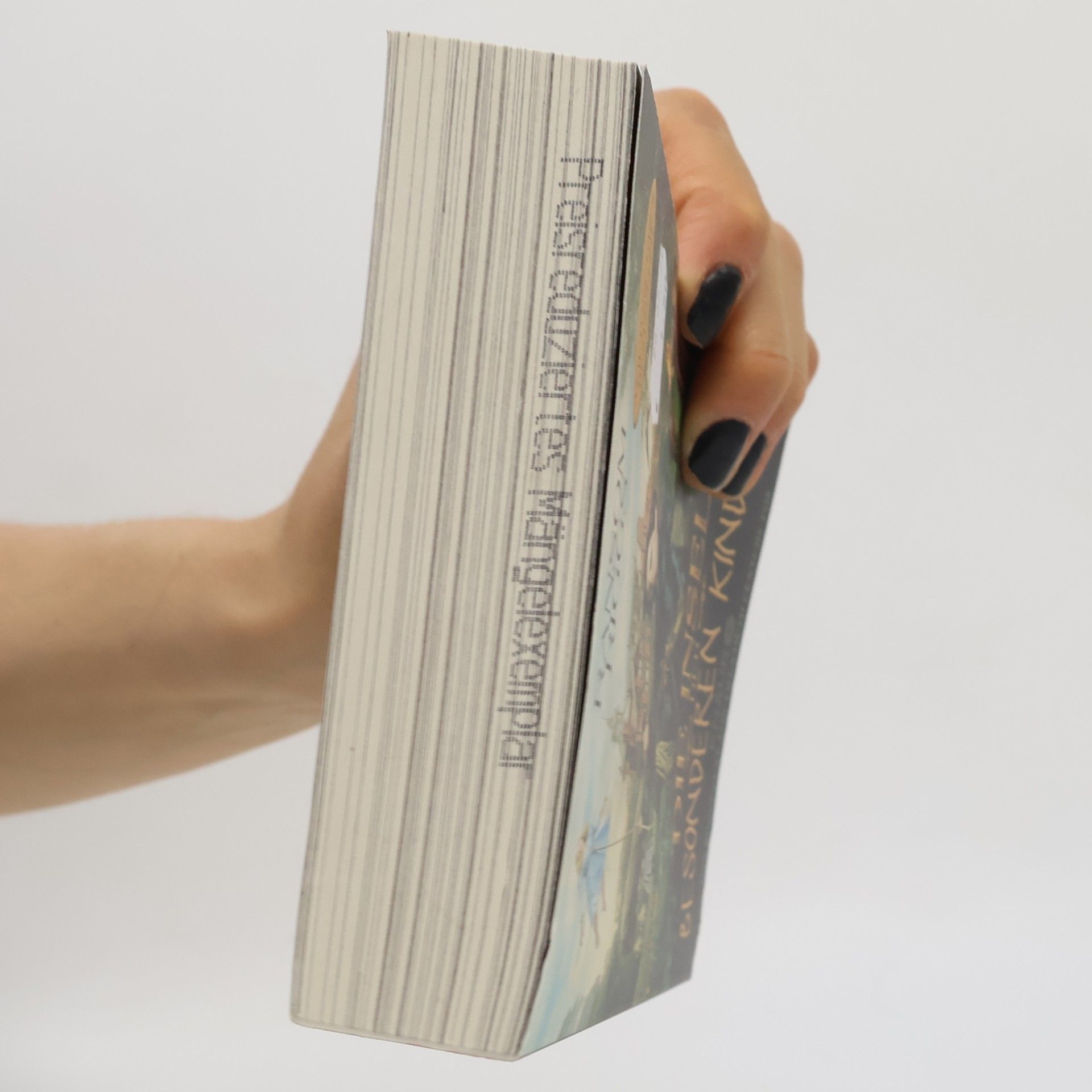 Ransom Riggs Die Insel der besonderen Kinder