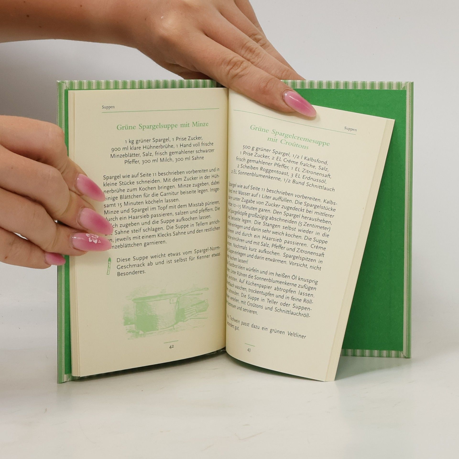 Hanns Albert Schroll Das kleine Spargel-Kochbuch