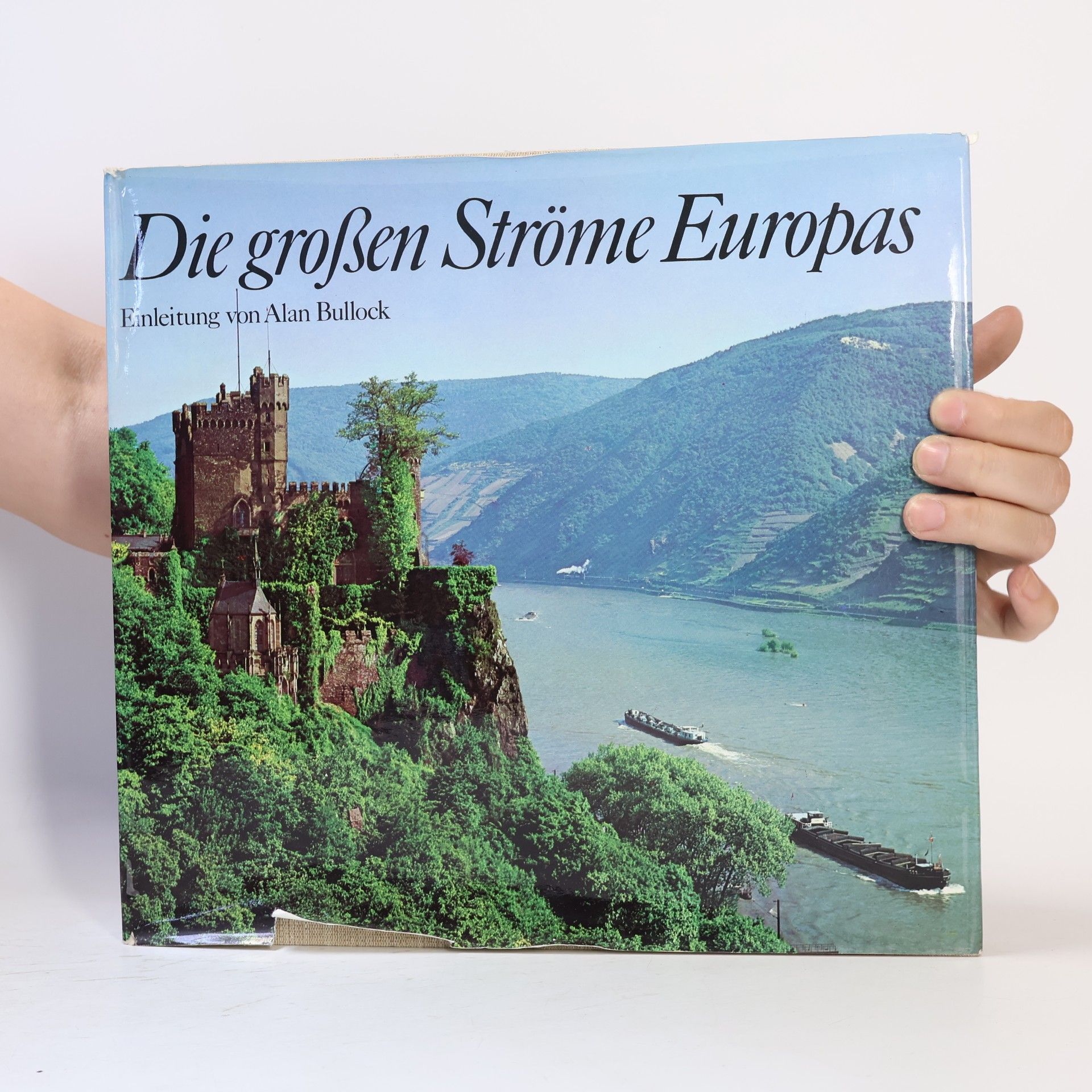 Alan Bullock Die Grossen Ströme Europas
