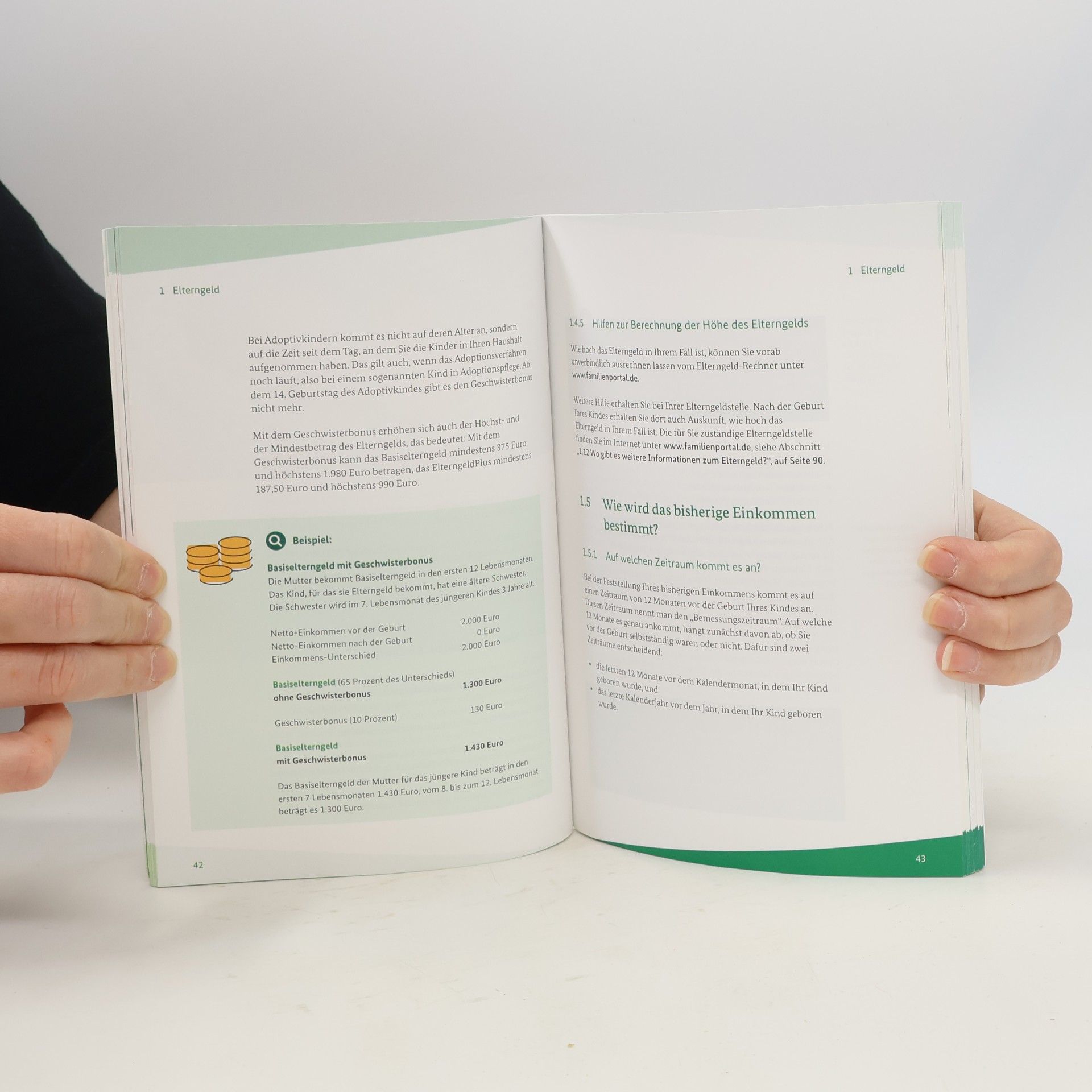 Autorenkollektiv Elterngeld, ElterngeldPlus und Elternzeit