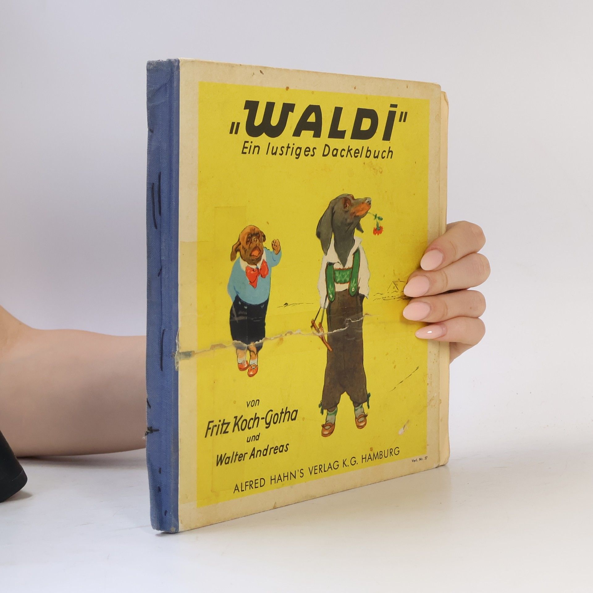 AA.VV. Waldi