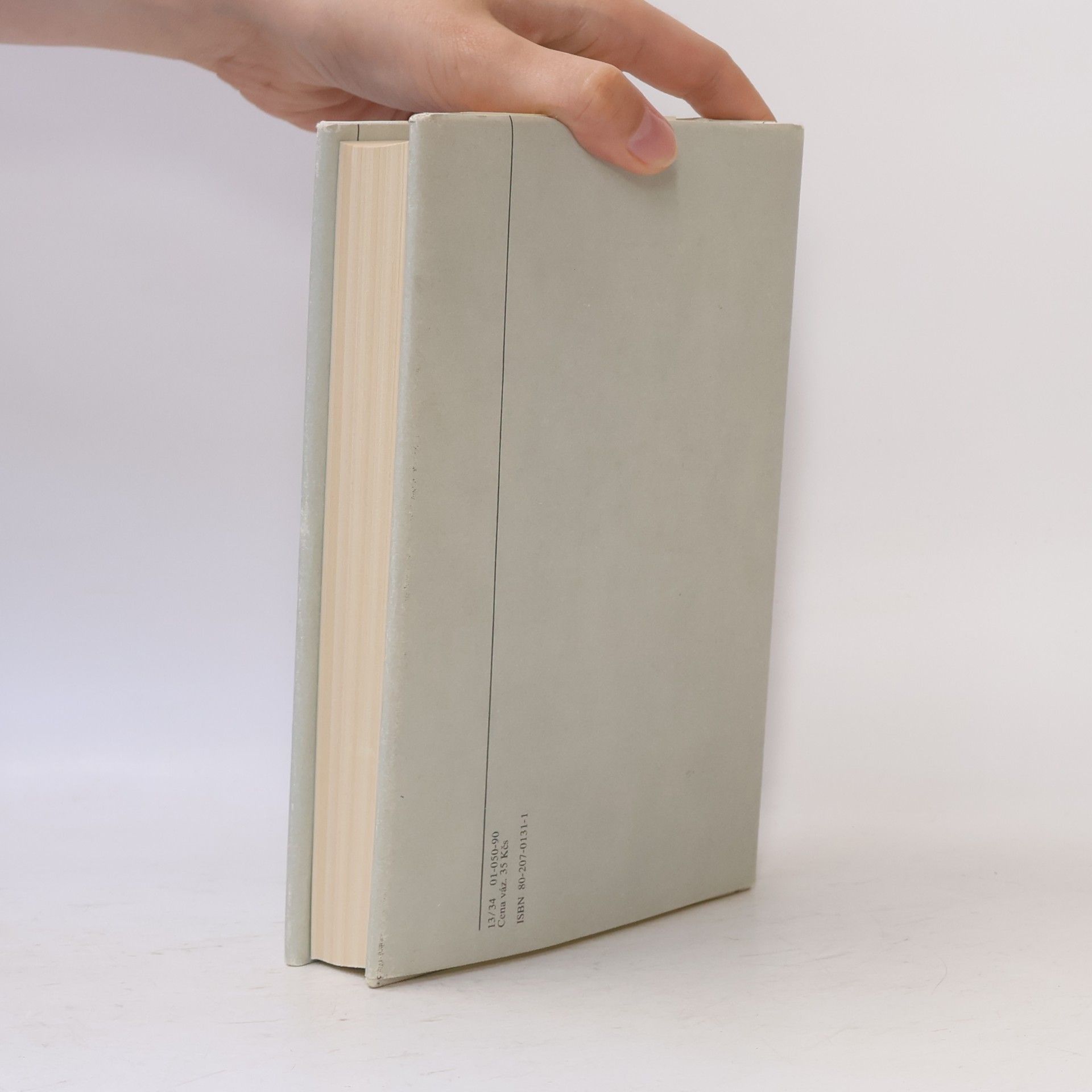 John Irving Svět podle Garpa