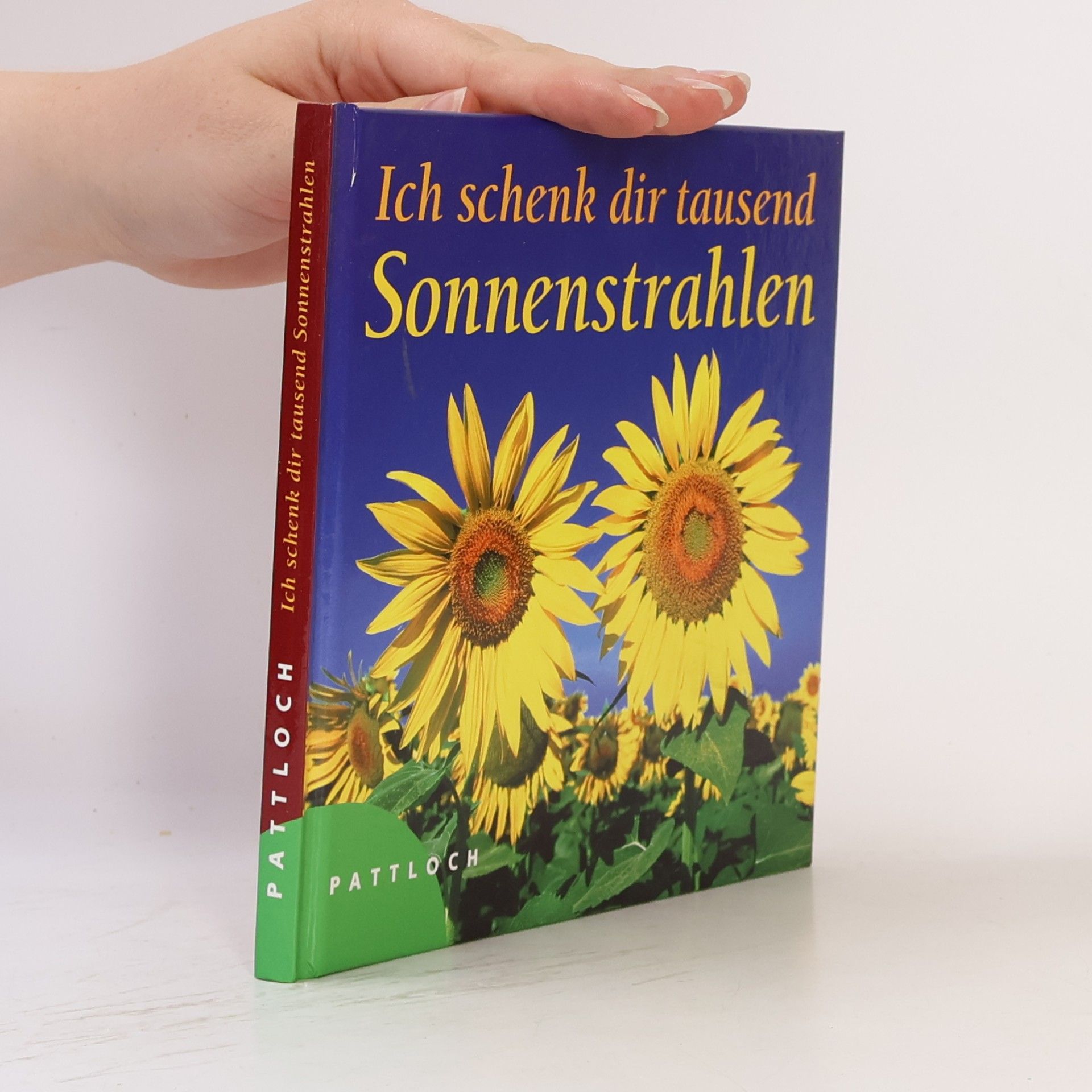 Inka Heinemann Ich schenk dir tausend Sonnenstrahlen